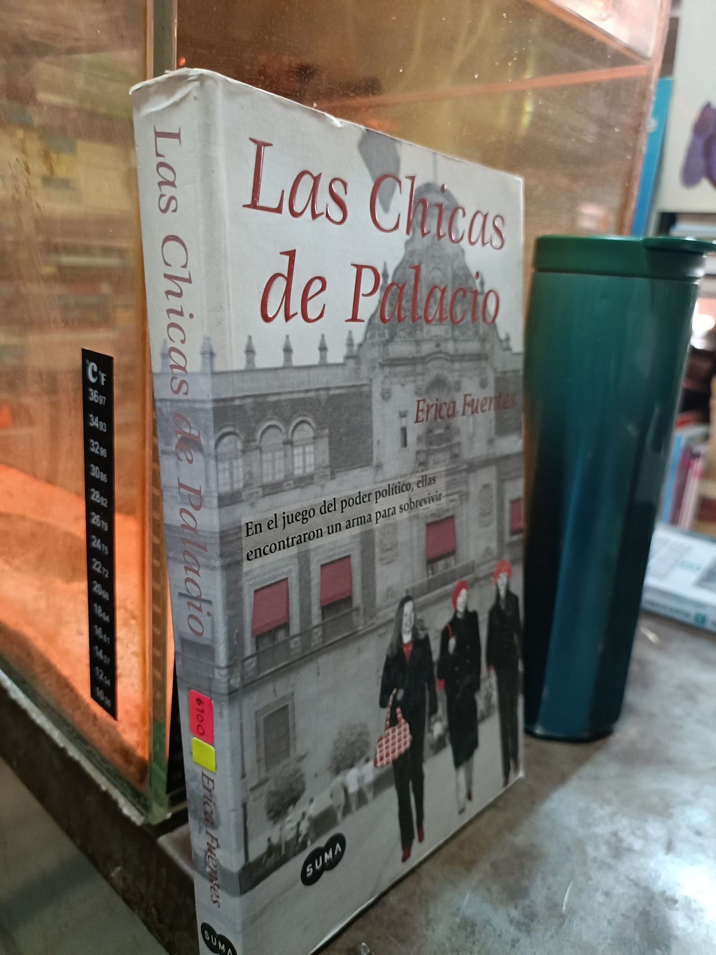 LAS CHICAS DE PALACITO POR ERICA FUENTES USADO NOVELA ALDAMA