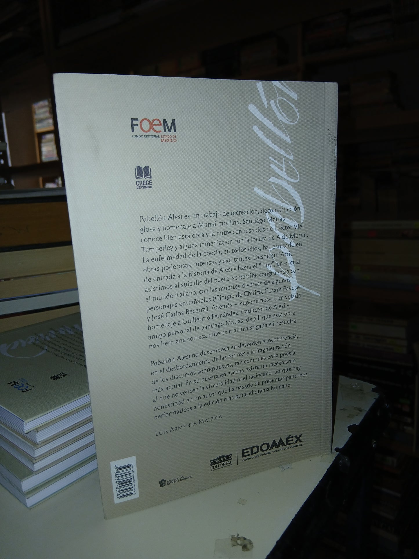 PABELLÓN ALESI POR SANTIAGO MATÍAS USADO POESÍA LITERARIO 207