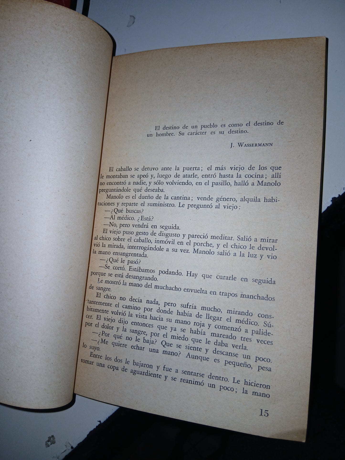 LOS BRAVOS POR JESÚS FERNÁNDEZ SANTOS USADO NOVELA LITERARIO 207