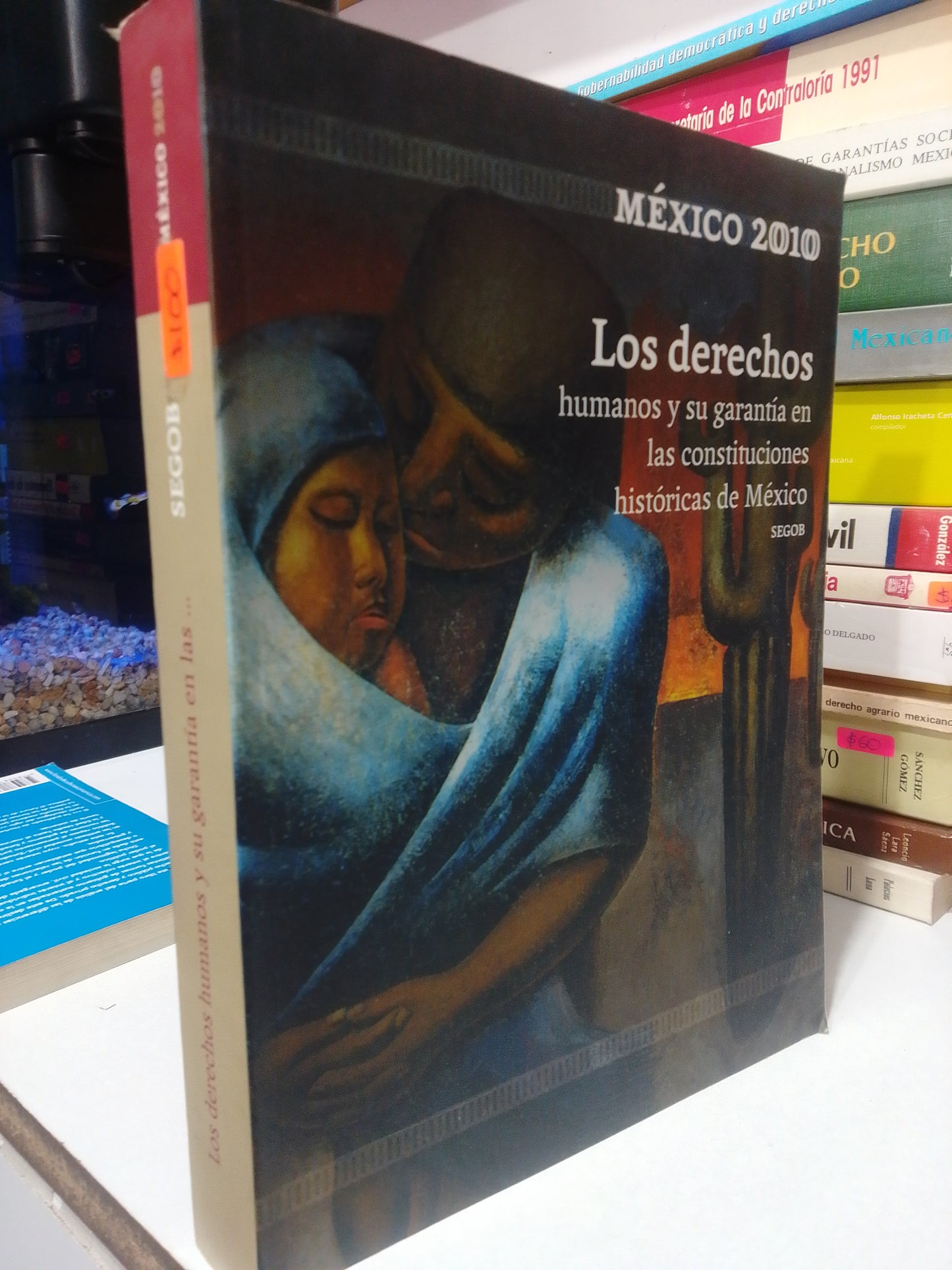 LOS DERECHOS HUMANOS Y SU GARANTIA EN LAS CONSTITUCIONES HISTORICAS DE MEXICO USADO DERECHO JUAREZ
