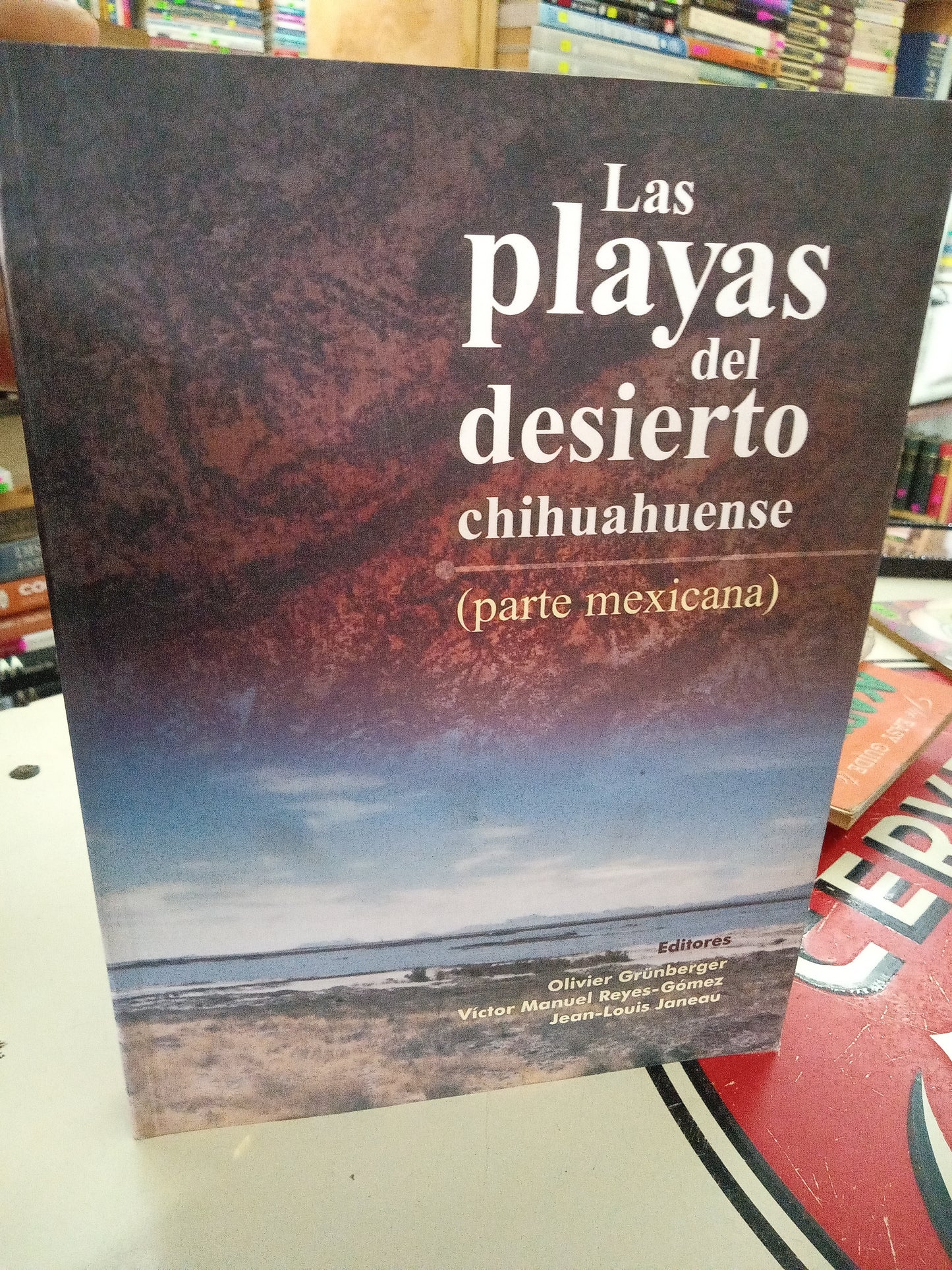 LAS PLAYAS DEL DESIERTO CHIHUAHUNSE USADO TURISMO LITERARIO 207