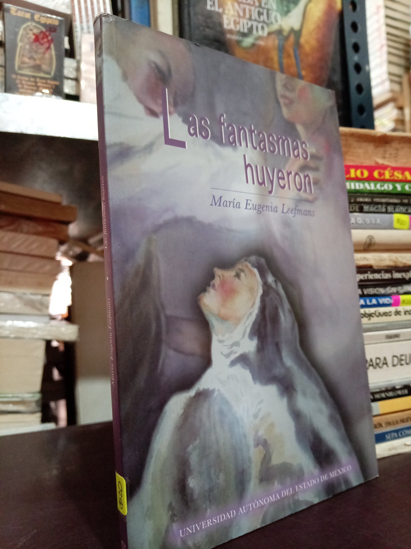 LAS FANTASMAS HUYERON POR MARÍA EUGENIA LEEFMANS USADO NOVELA LITERARIO 305