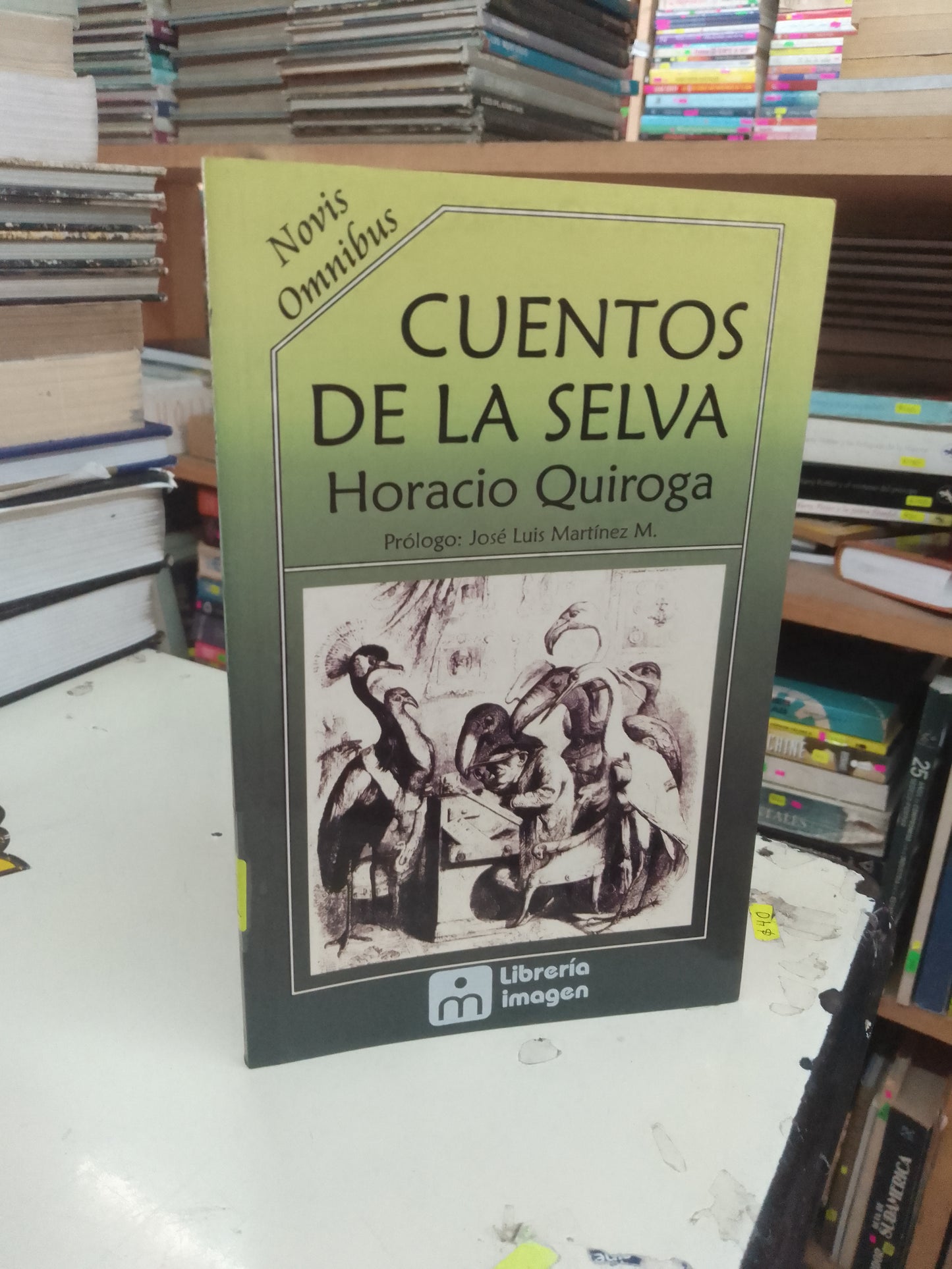 CUENTOS DE LA SELVA POR HORACIO QUIROGA USADO INFANTIL LITERARIO 207