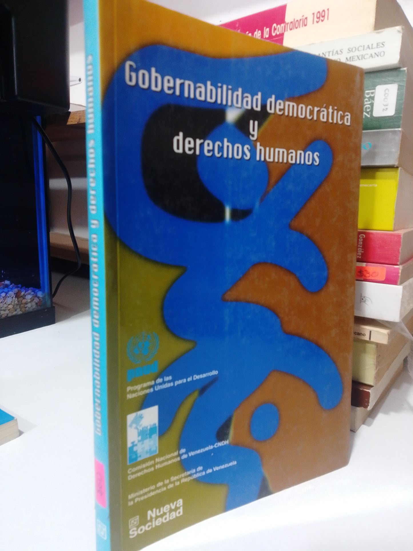 GOBERNABILIDAD, DEMOCRACIA Y DERECHOS HUMANOS USADO DERECHO JUAREZ