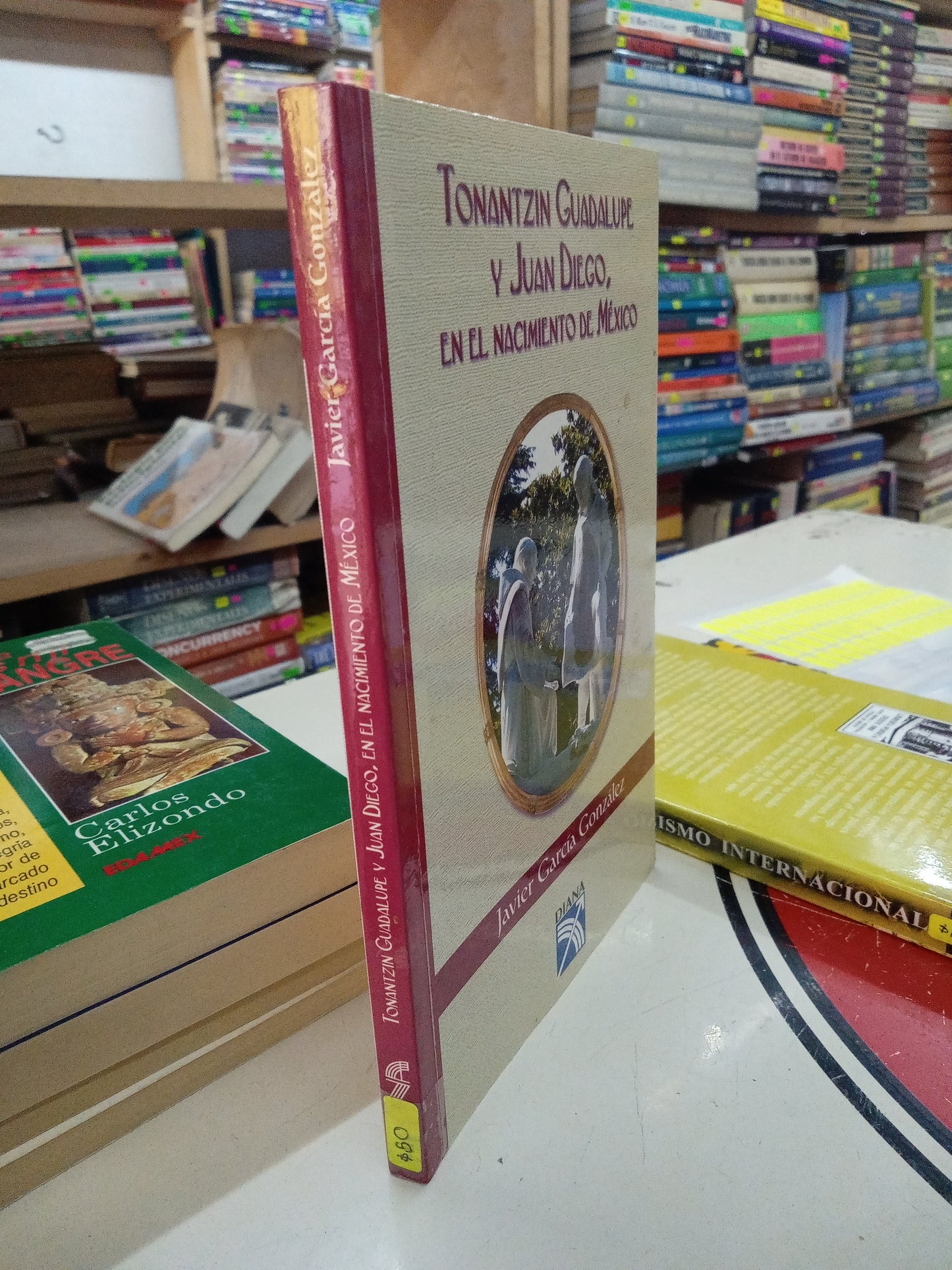 TONANTZIN GUADALUPE Y JUAN DIEGO EN EL NACIMIENTO DE MÉXICO POR JAVIER GARCIA GONZALEZ USADO RELIGION LITERARIO 207