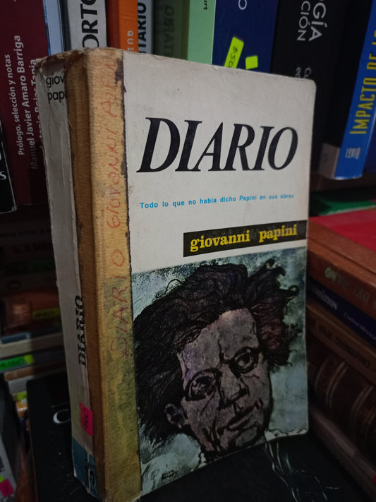 DIARIO POR GIOVANNI PAPINI USADO NOVELA LITERARIO 305