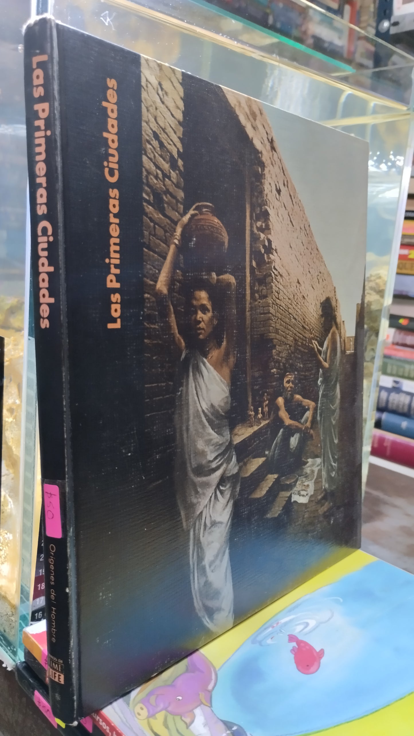 LAS PRIMERAS CIUDADES LIBRO USADO HISTORIA ALDAMA