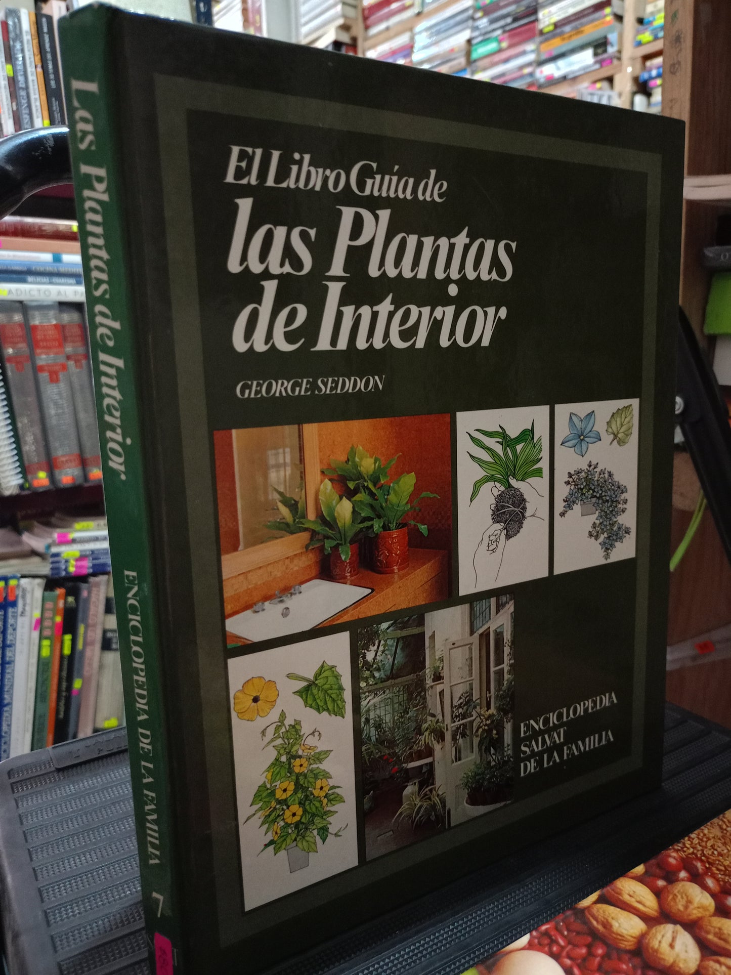 ENCICLOPEDIA DE LA FAMILIA USADO OFICIOS LITERARIO 305
