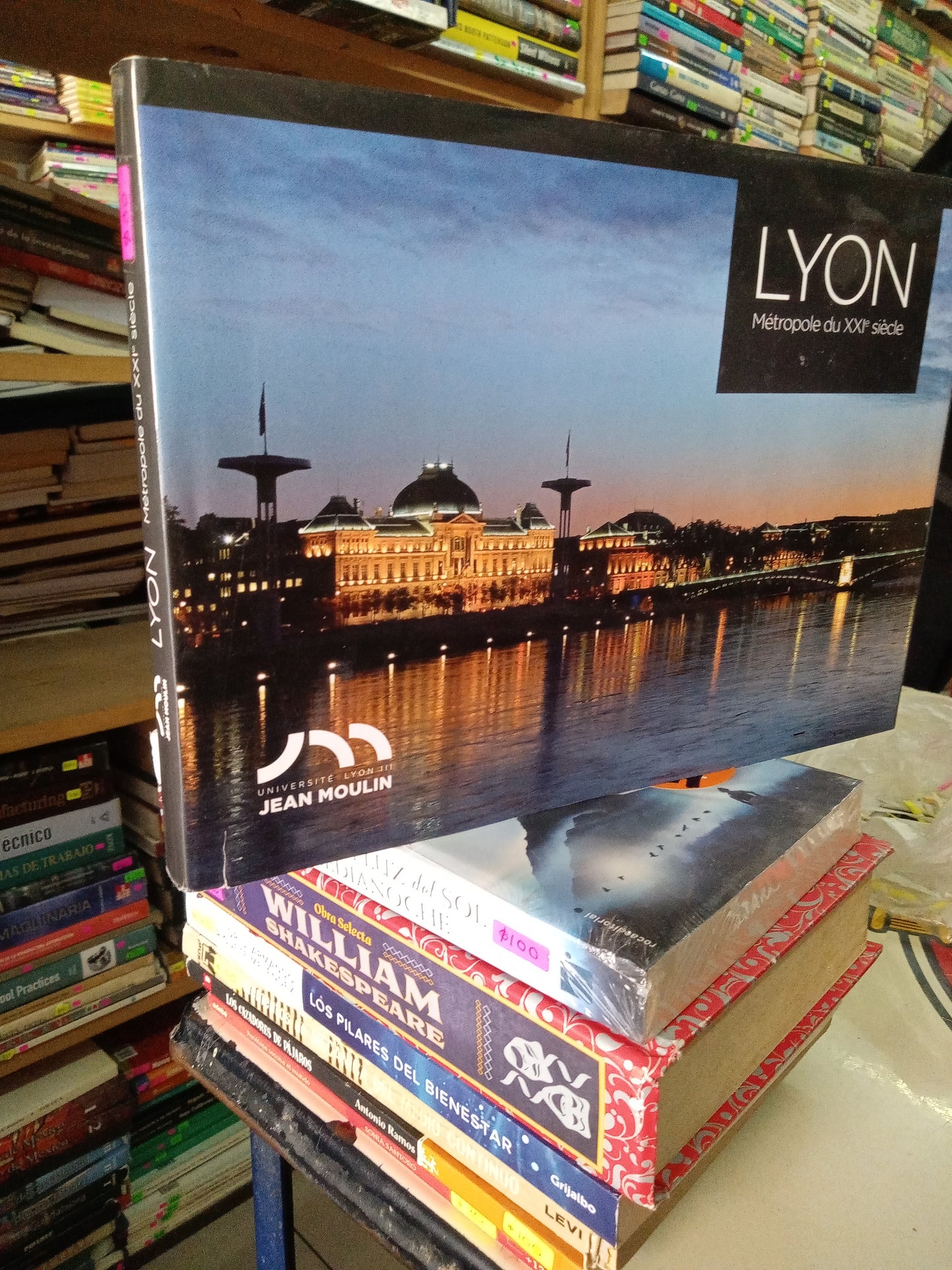 LYON METROPOLE DU XXI SIECLE USADO ARTE LITERARIO 207