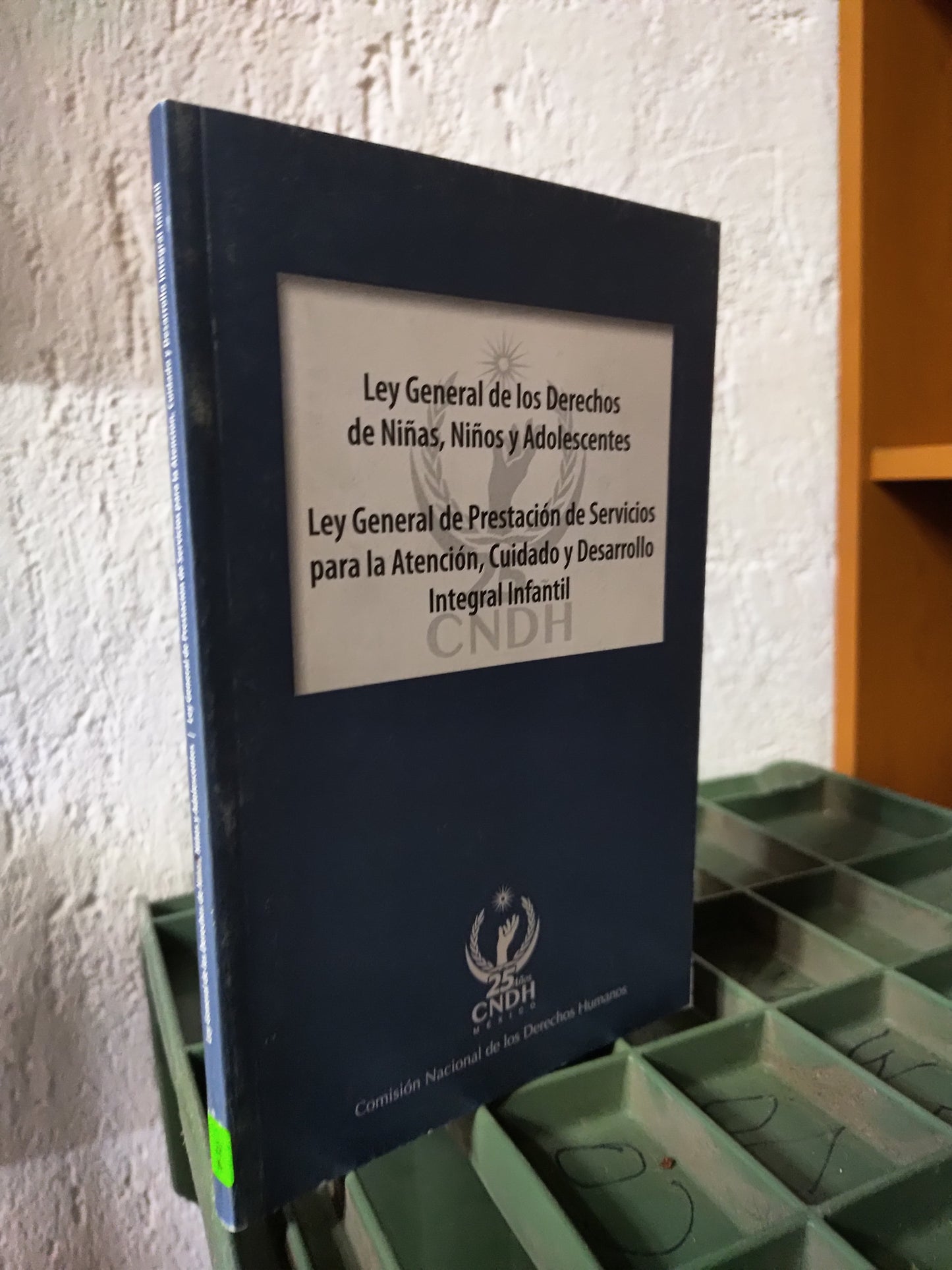 LEY GENERAL DE LOS DERECHOS DE NIÑAS NIÑOS Y ADOLESCENTES POR LA CDNH USADO DERECHO JUAREZ 515