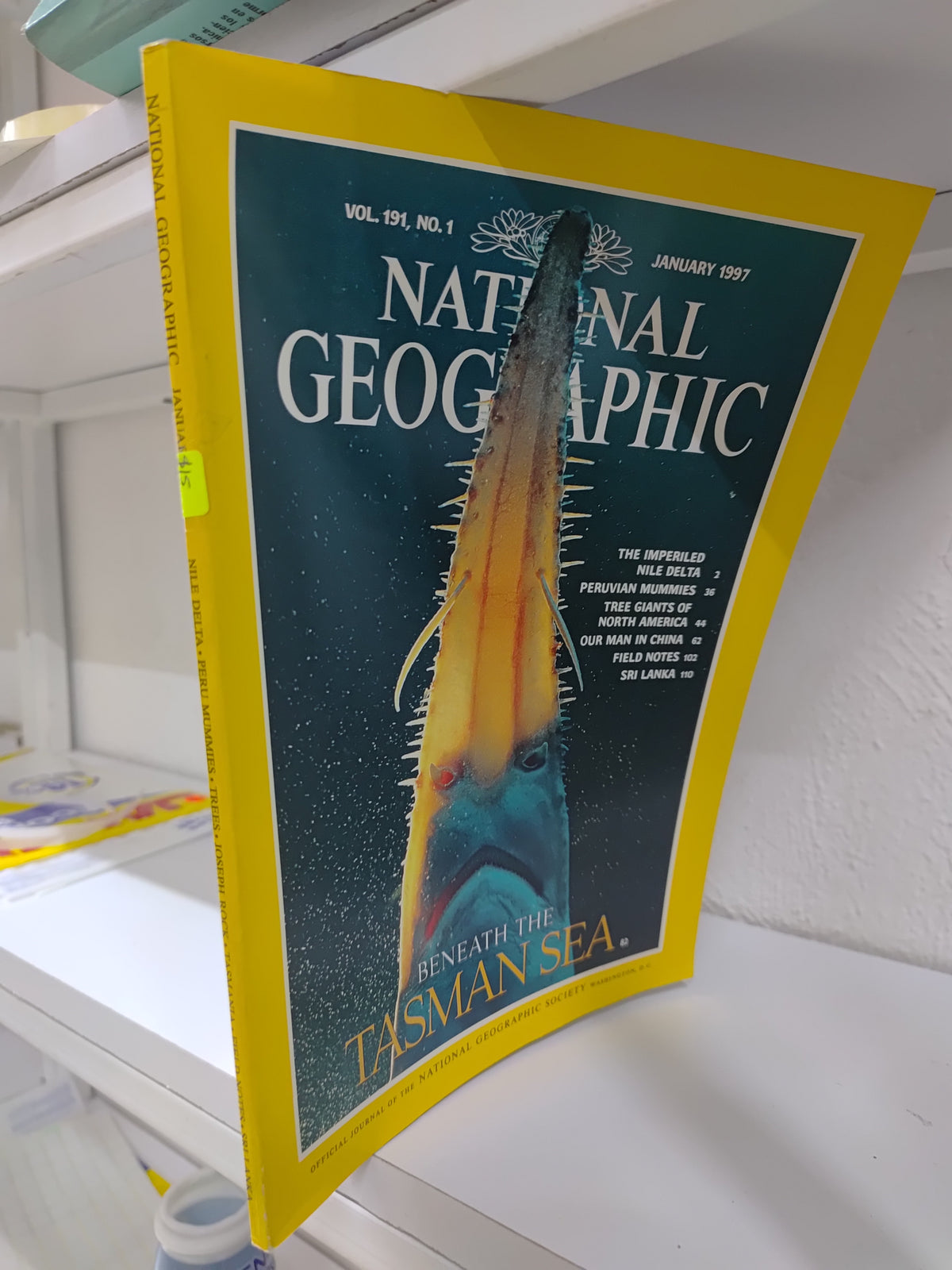 NATIONAL GEOGRAPHIC THE TASMAN SEA USADO INFANTILES JUAREZ 515