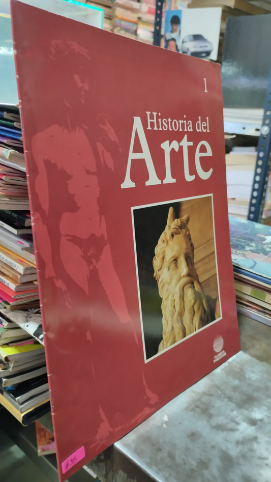 HISTORIA DEL ARTE 1 LIBRO USADO ARTE ALDAMA