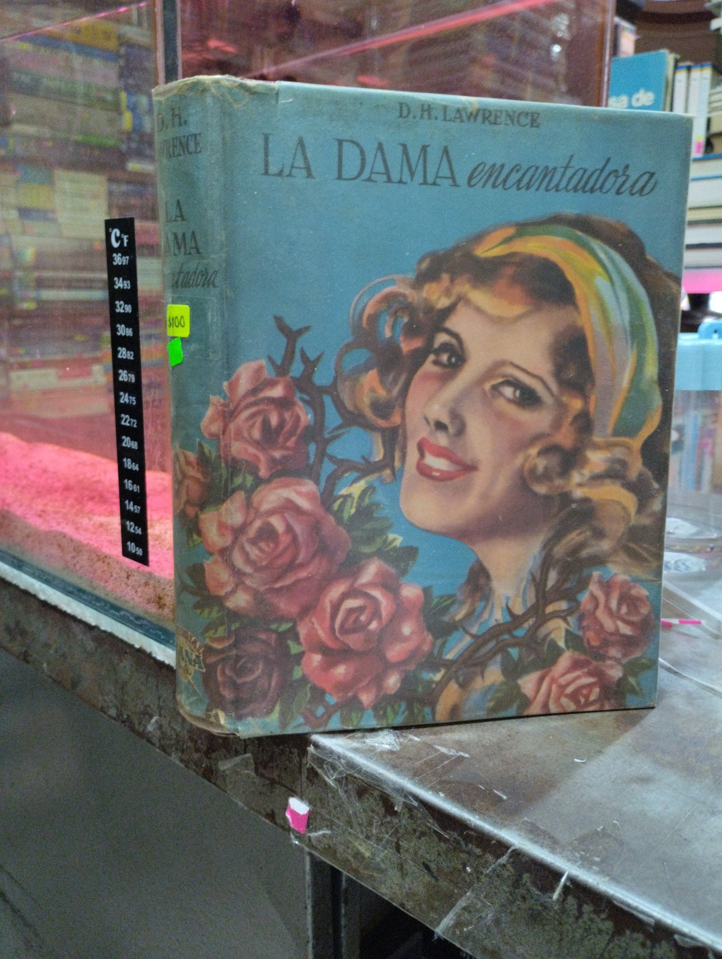 LA DAMA ENCANTADORA POR D.H. LAWRENCE USADO NOVELAS ALDAMA
