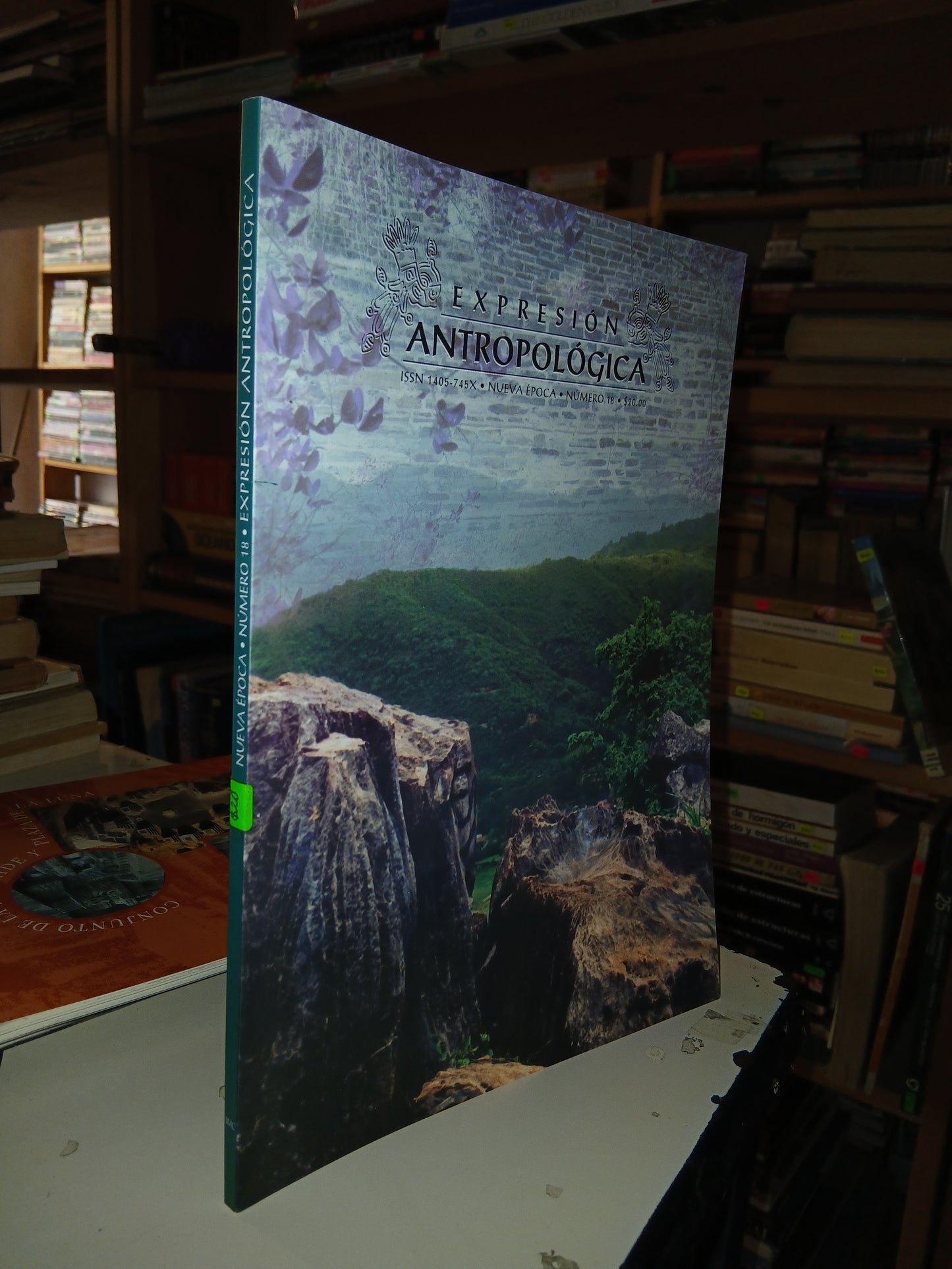 EXPRESIÓN ANTROPOLÓGICA N° 18 (VARIOS AUTORES) USADO ANTROPOLOGÍA LITERARIO 207