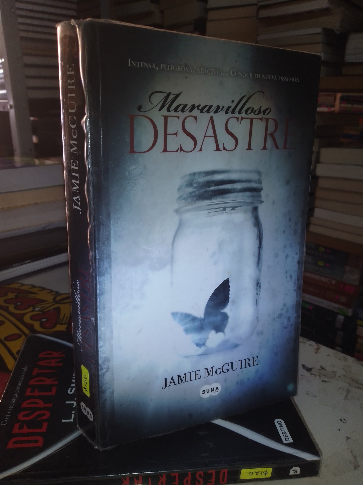 MARAVILLOSO DESASTRE POR JAMIE MCGUIRE USADO NOVELA LITERARIO 207