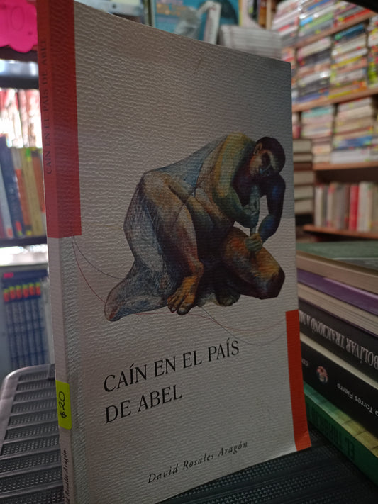 CAIN EN EL PAIS DE ABEL POR DAVID ROSALES ARAGON USADO NOVELA LITERARIO 305
