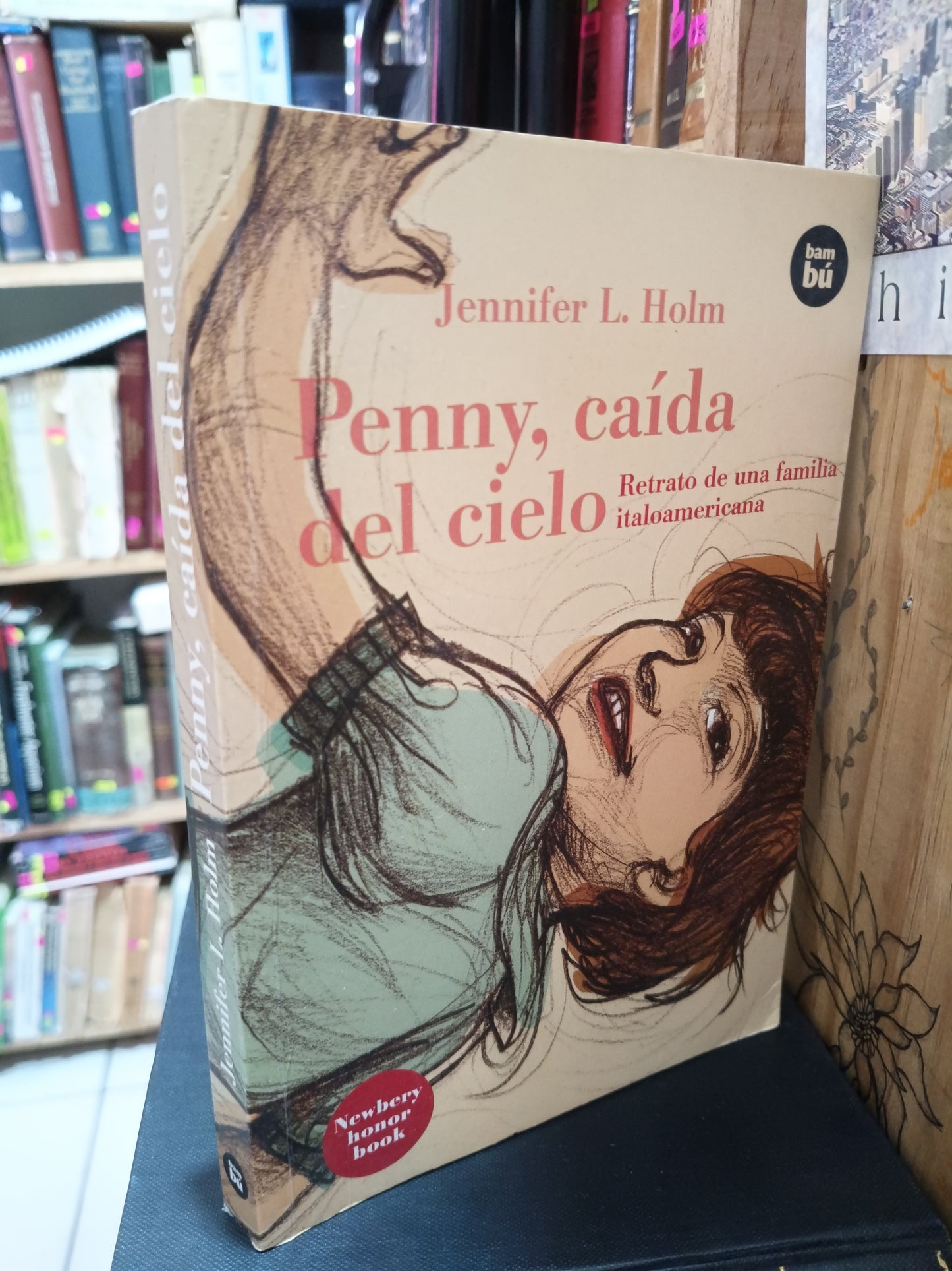 PENNY CAIDA DEL CIELO RETRATO DE UNA FAMILIA ITALOAMERICANA JENNIFER L. HOLM USADO INFANTIL LITERARIO 305