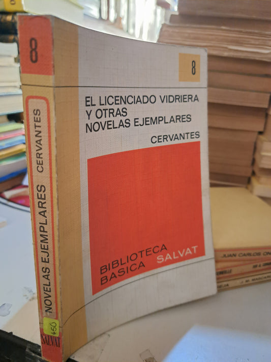 EL LICENCIADO VIDRIERA Y OTRAS NOVELAS EJEMPLARES CERVANTES USADO NOVELA LITERARIO 207
