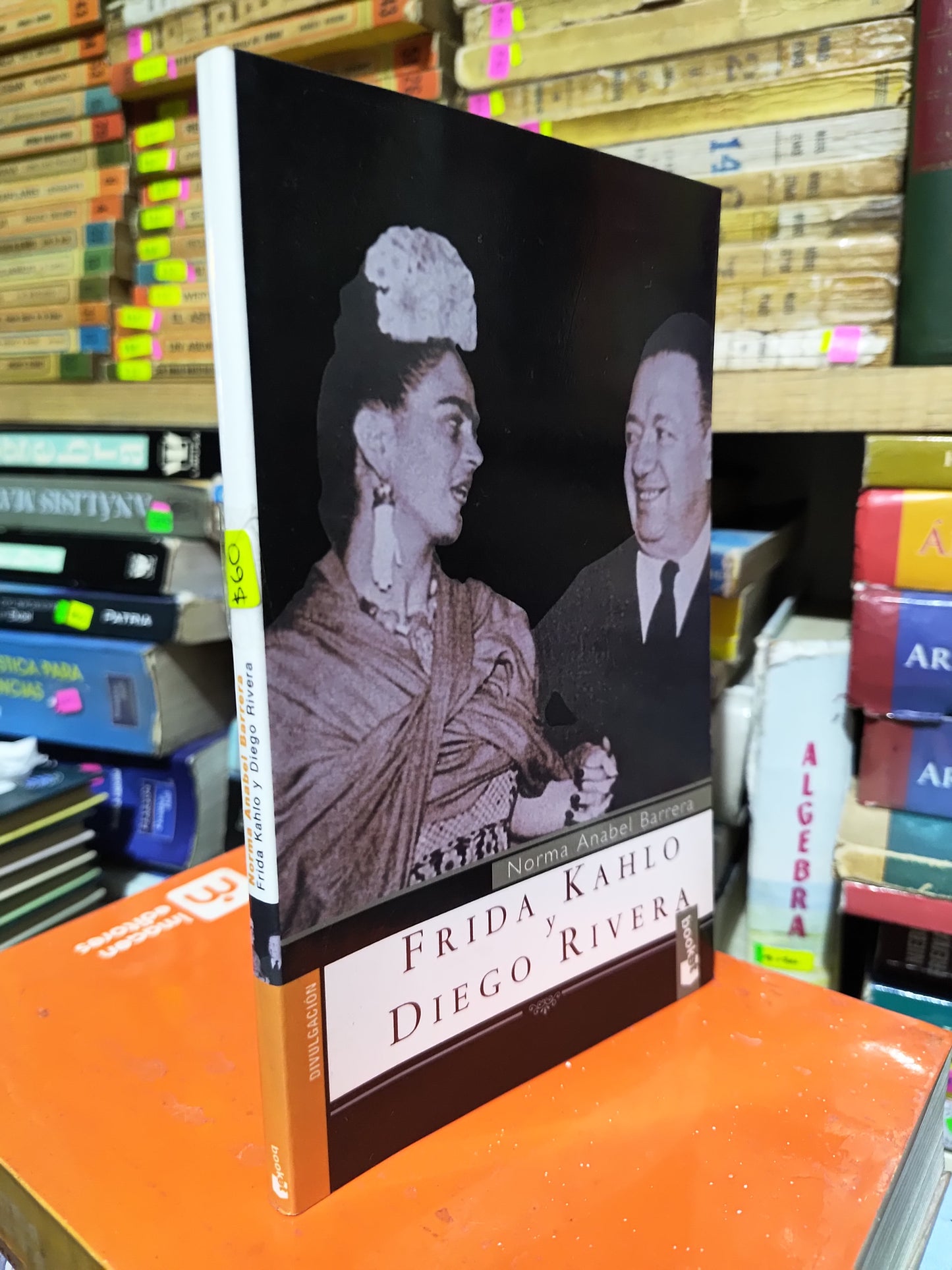 FRIDA KAHLO Y DIEGO RIVERA POR NORMA ANABEL BARRERA USADO NOVELAS JUAREZ 507