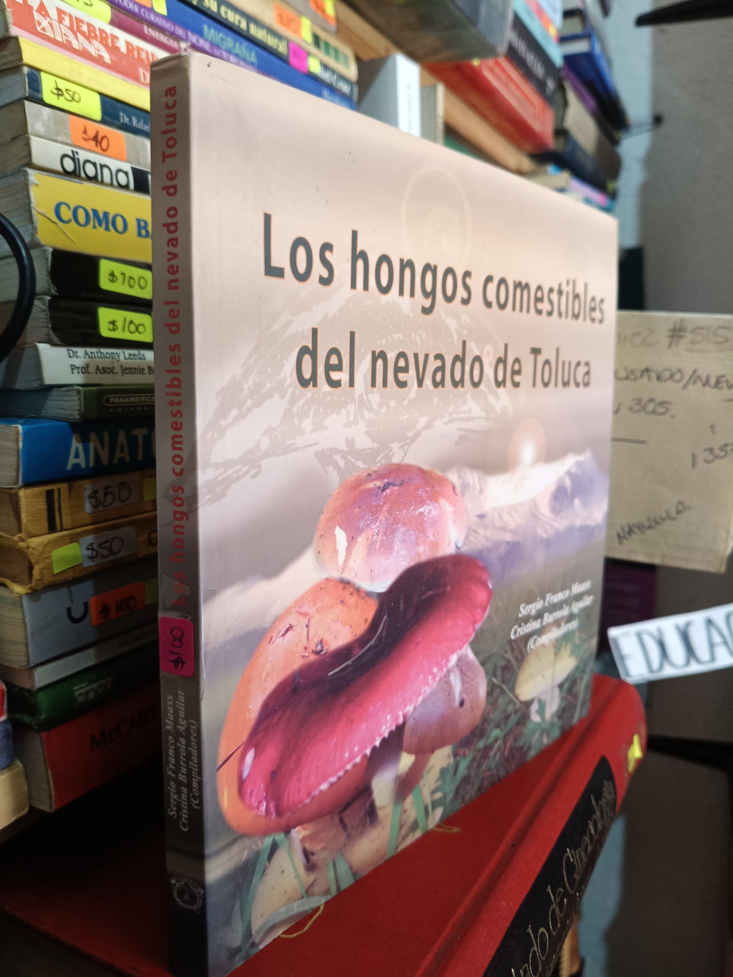 LOS HONGOS COMESTIBLES DEL NEVADO DE TOLUCA SERGIO FRANCO MAASS CRISTINA BURROLA AGUILAR USADO GEOGRAFIA LITERARIO 305