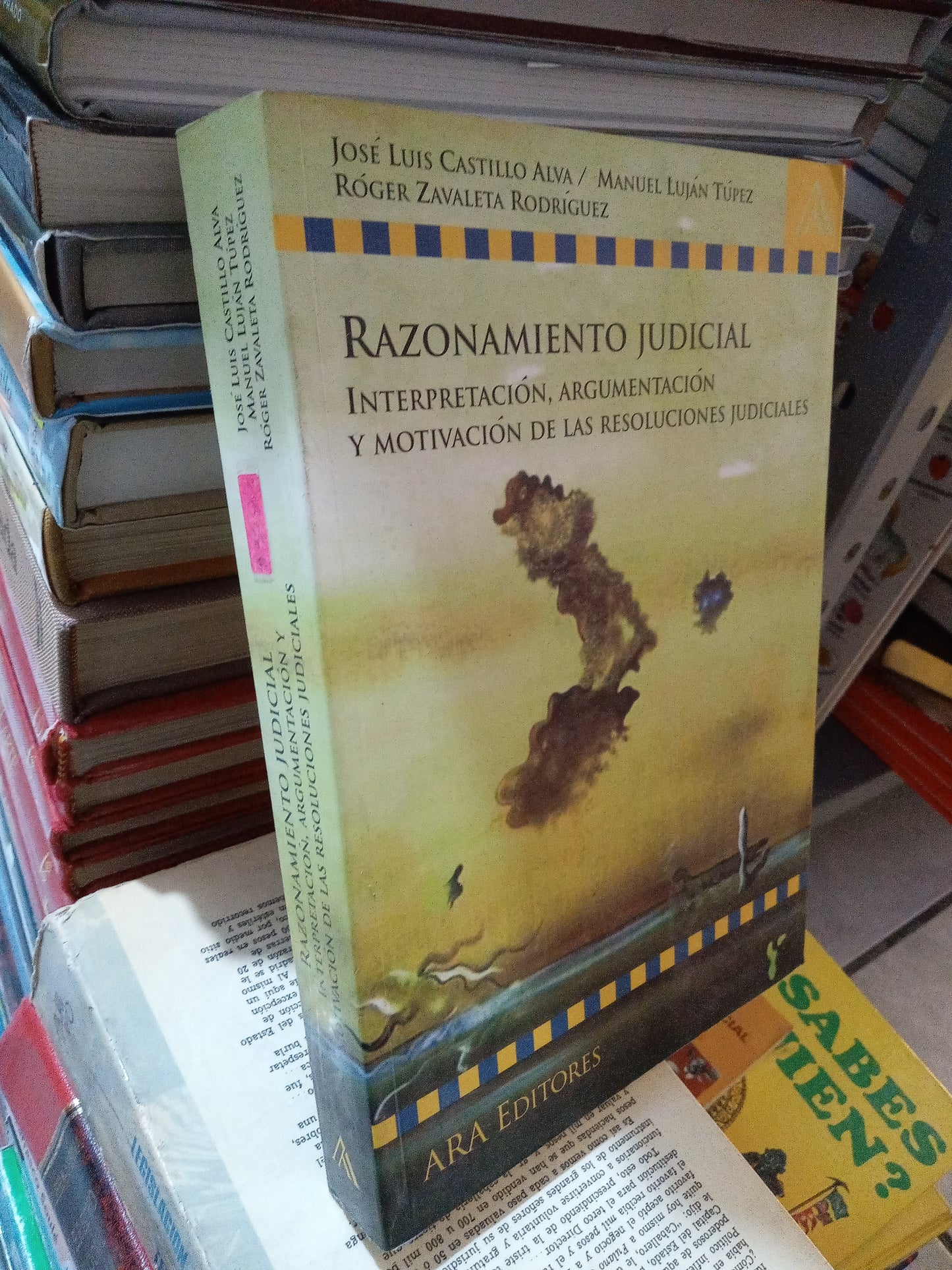 RAZONAMIENTO JUDICIAL POR JOSE LUIS CASTILLO ALVA USADO DERECHO LITERARIO 207