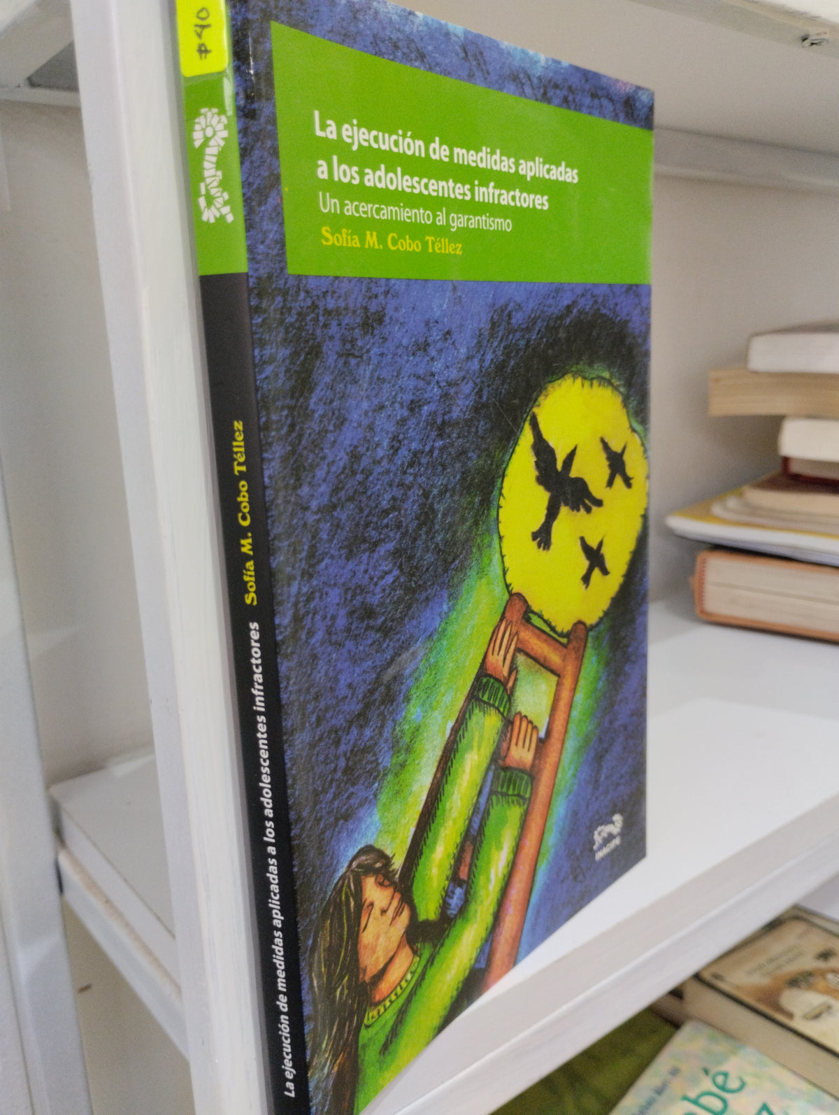LA EJECUCION DE MEDIDAS APLICADAS A LOS ADOLESCENTES INFRACTORES UN ACERCAMIENTO AL GARANTISMO SOFIA M COBO TELLEZ USADO PSICOLOGIA JUAREZ 515