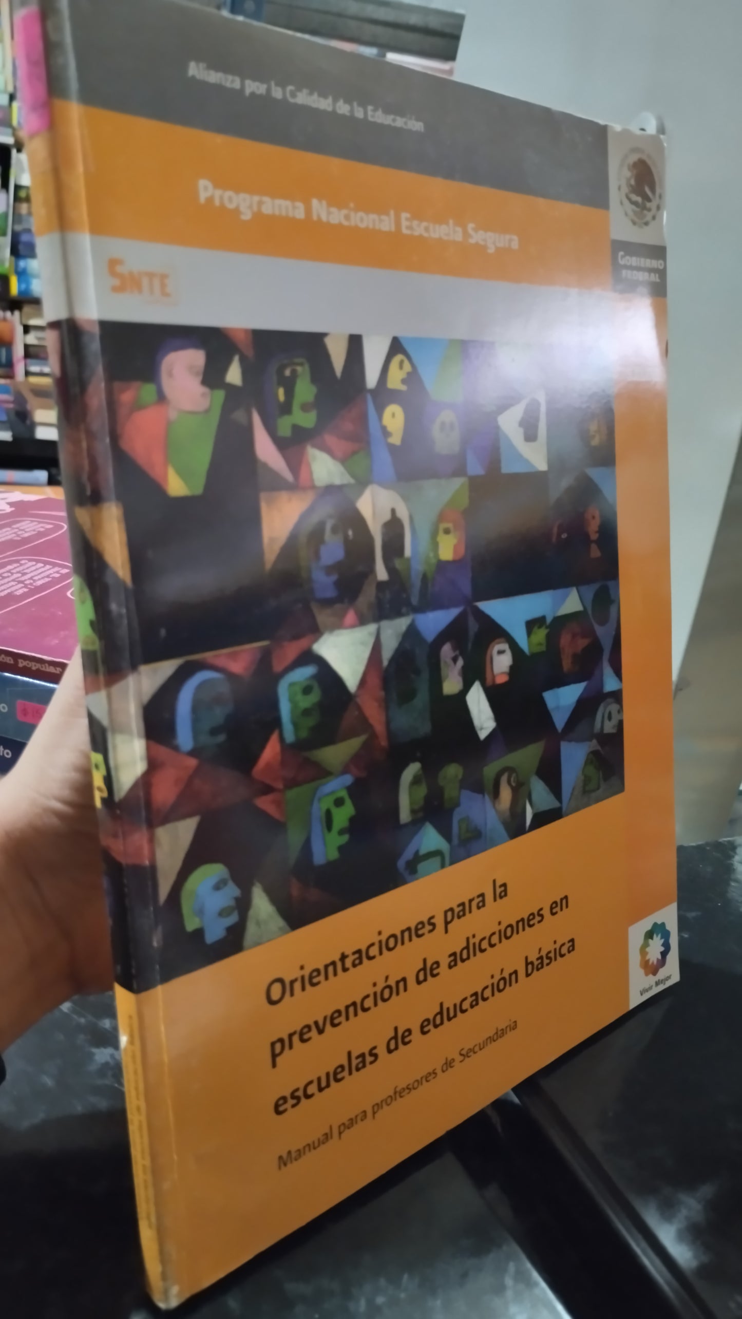 ORIENTACIONES PARA LA PREVENCION DE ADICCIONES EN ESCUELAS DE EDUCACIÓN BASICA POR LA SEP LIBRO USADO EDUCACIÓN ALDAMA