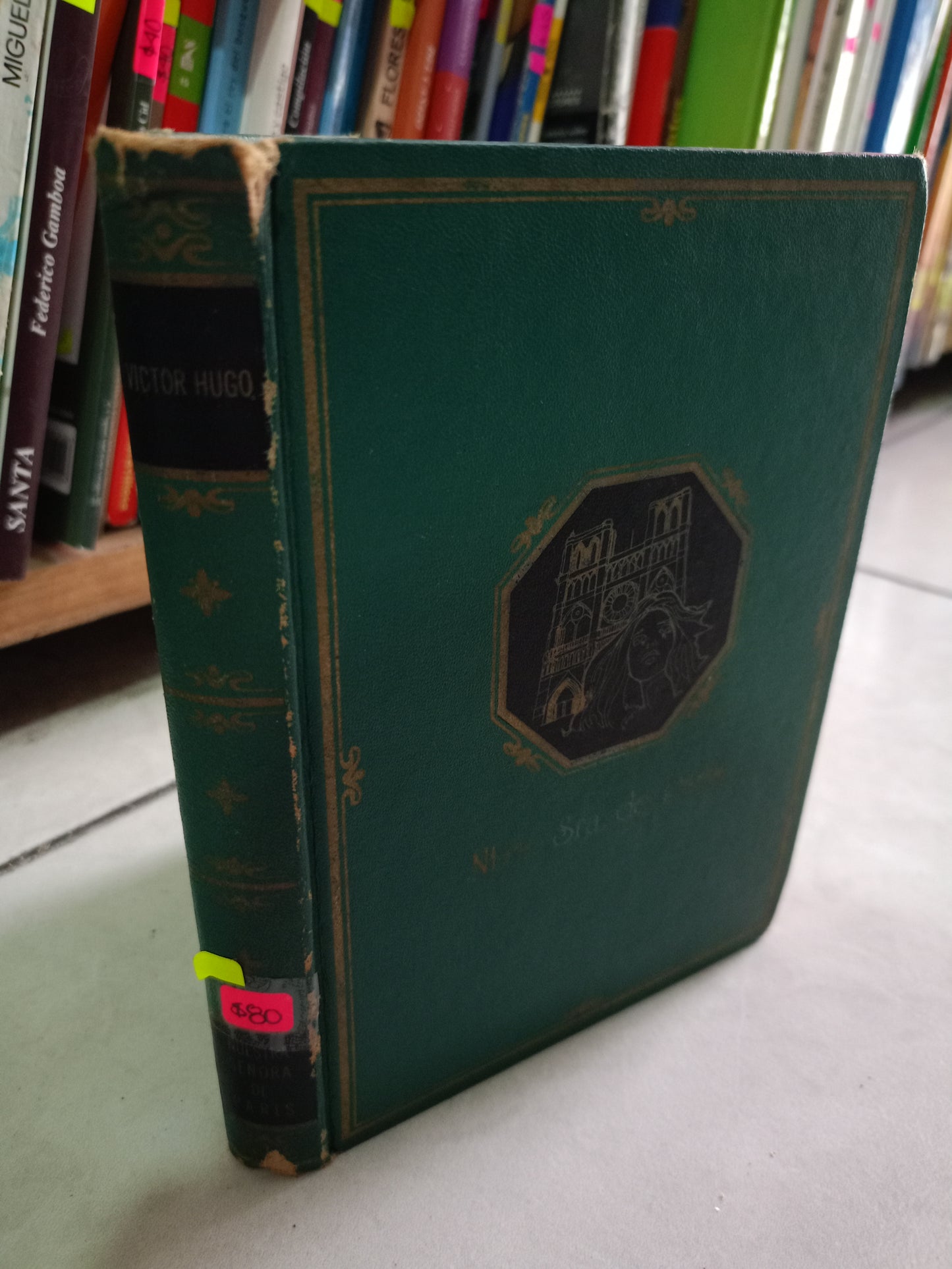 NUESTRA SEÑORA DE PARÍS POR VÍCTOR HUGO USADO NOVELA LITERARIO 305