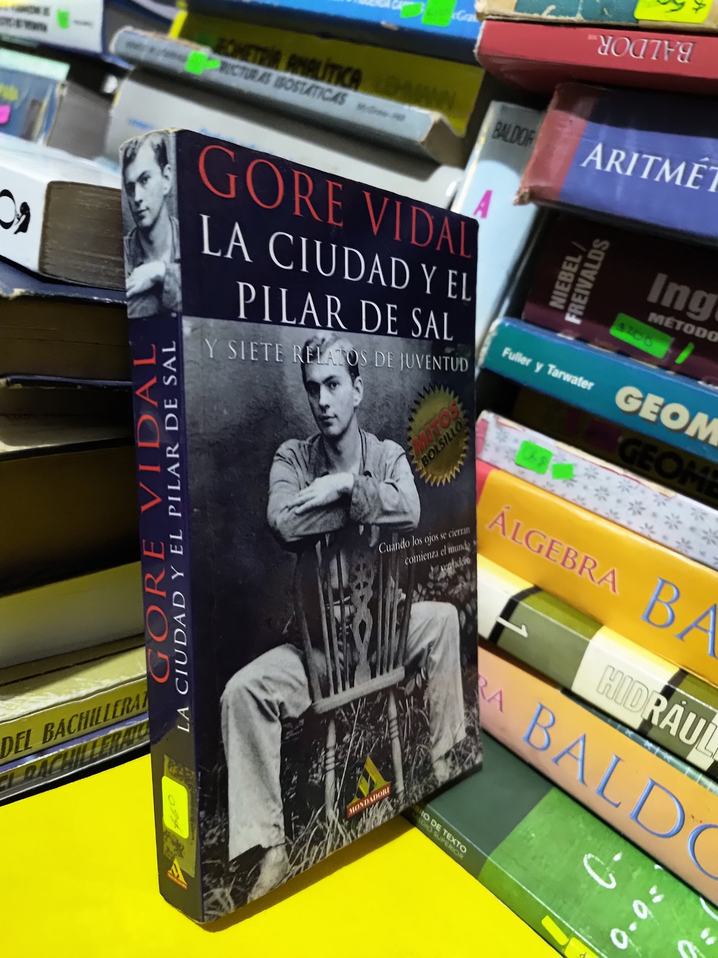 LA CIUDAD Y EL PILAR DE SAL POR GORE VIDAL USADO NOVELAS JUAREZ 507