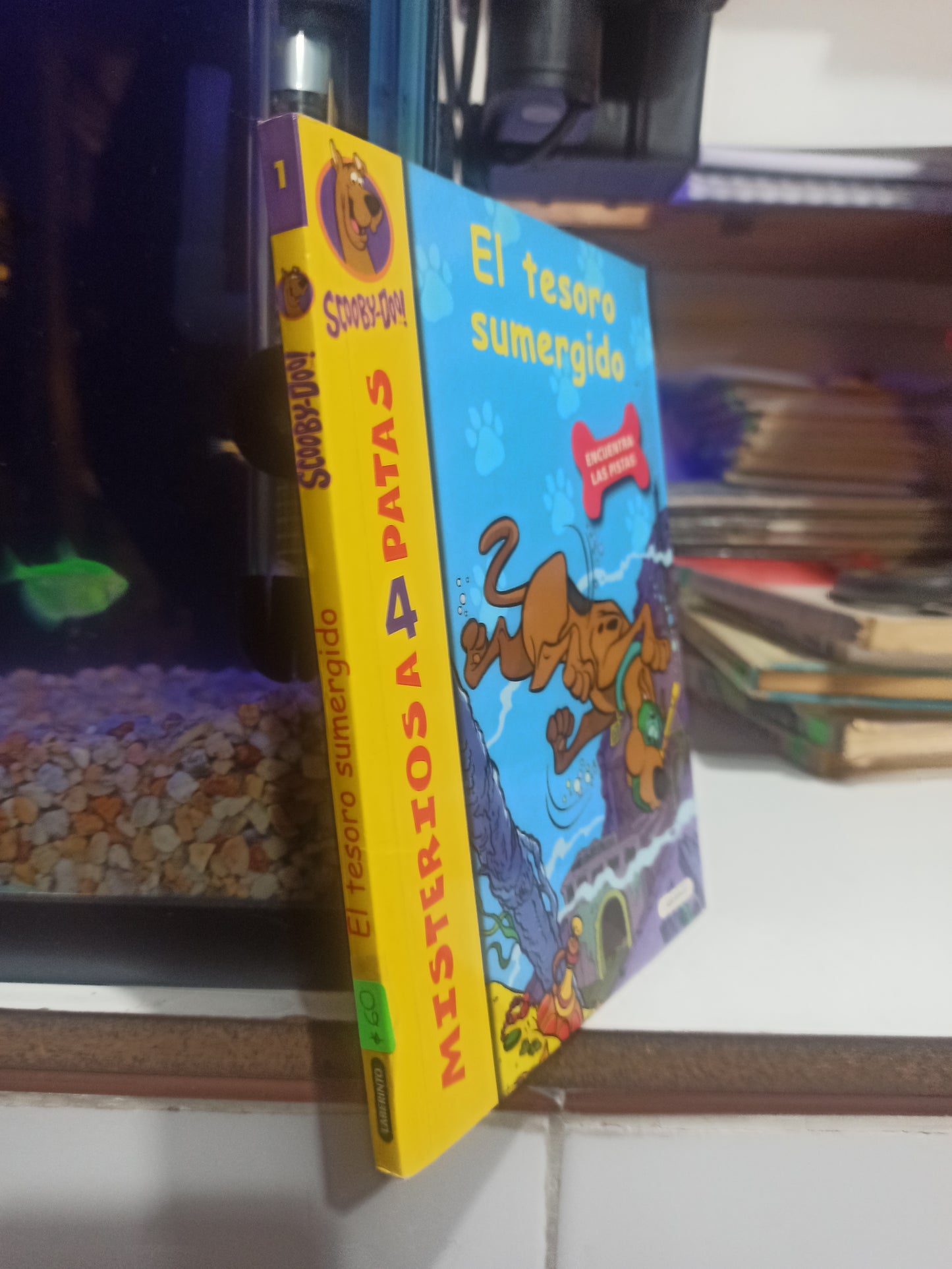 EL TESORO SUMERGIDO POR EDITORIAL LABERINTO USADO INFANTILES JUÁREZ
