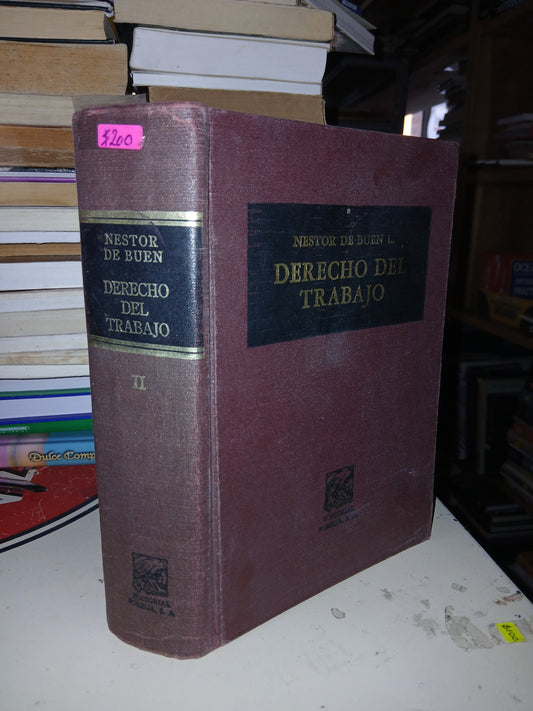 DERECHO DEL TRABAJO POR NÉSTOR DE BUEN L. USADO DERECHO LITERARIO 207