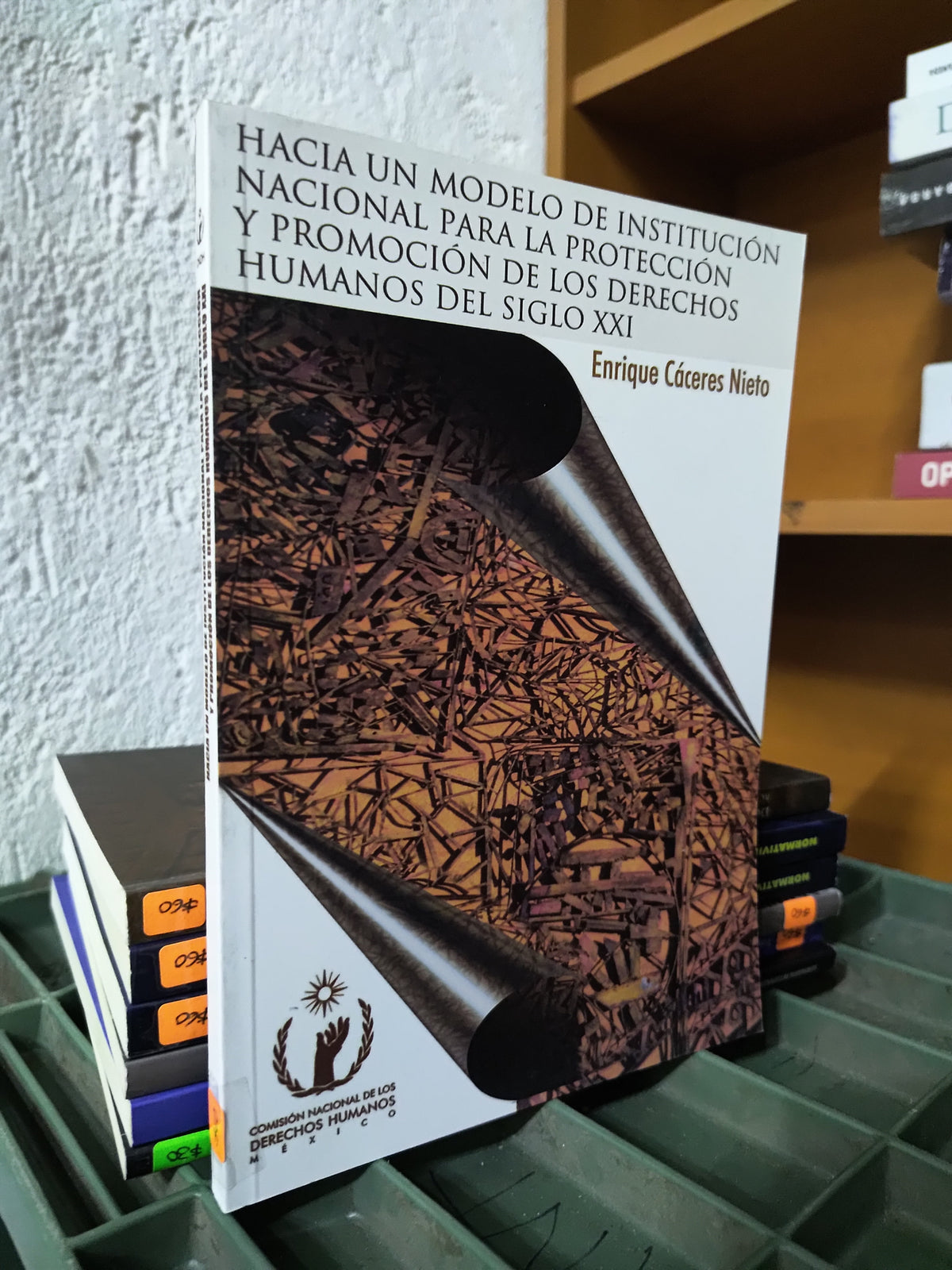 HACIA UN MODELO DE INSTITUCION NACIONAL PARA LA PROTECCION Y PROMOCION DE LOS DERECHOS HUMANOS DEL SIGLO 21 POR ENRIQUE CACERES NIETO USADO DERECHO JUAREZ 515