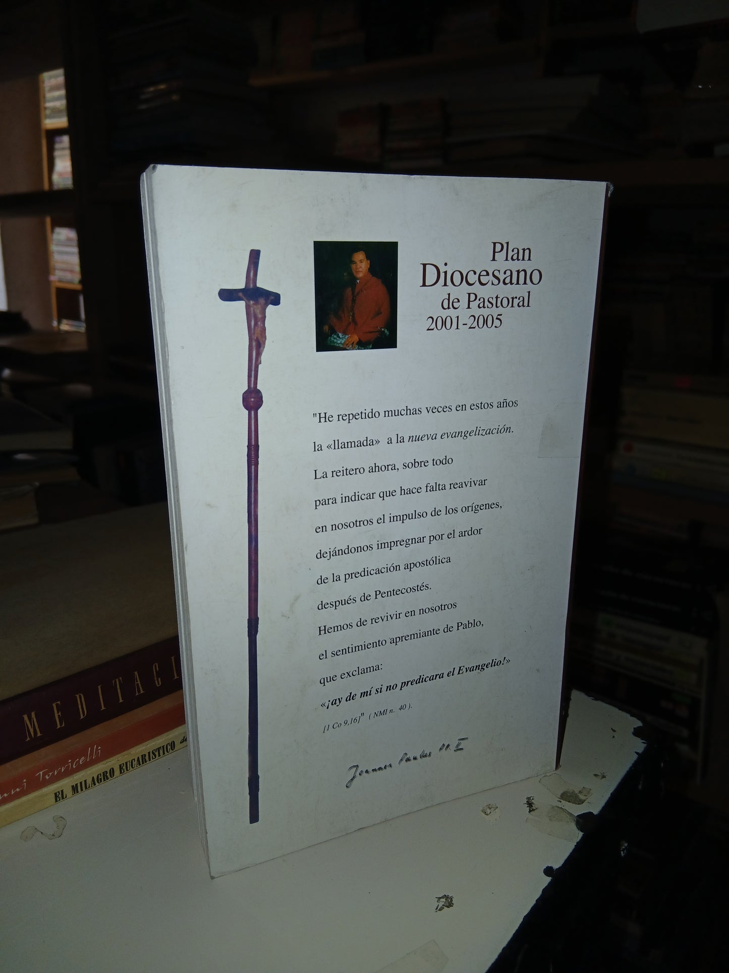 PLAN DIOCESANO DE PASTORAL 2001-2005 POR DIÓCESIS DE TOLUCA USADO RELIGIÓN LITERARIO 207