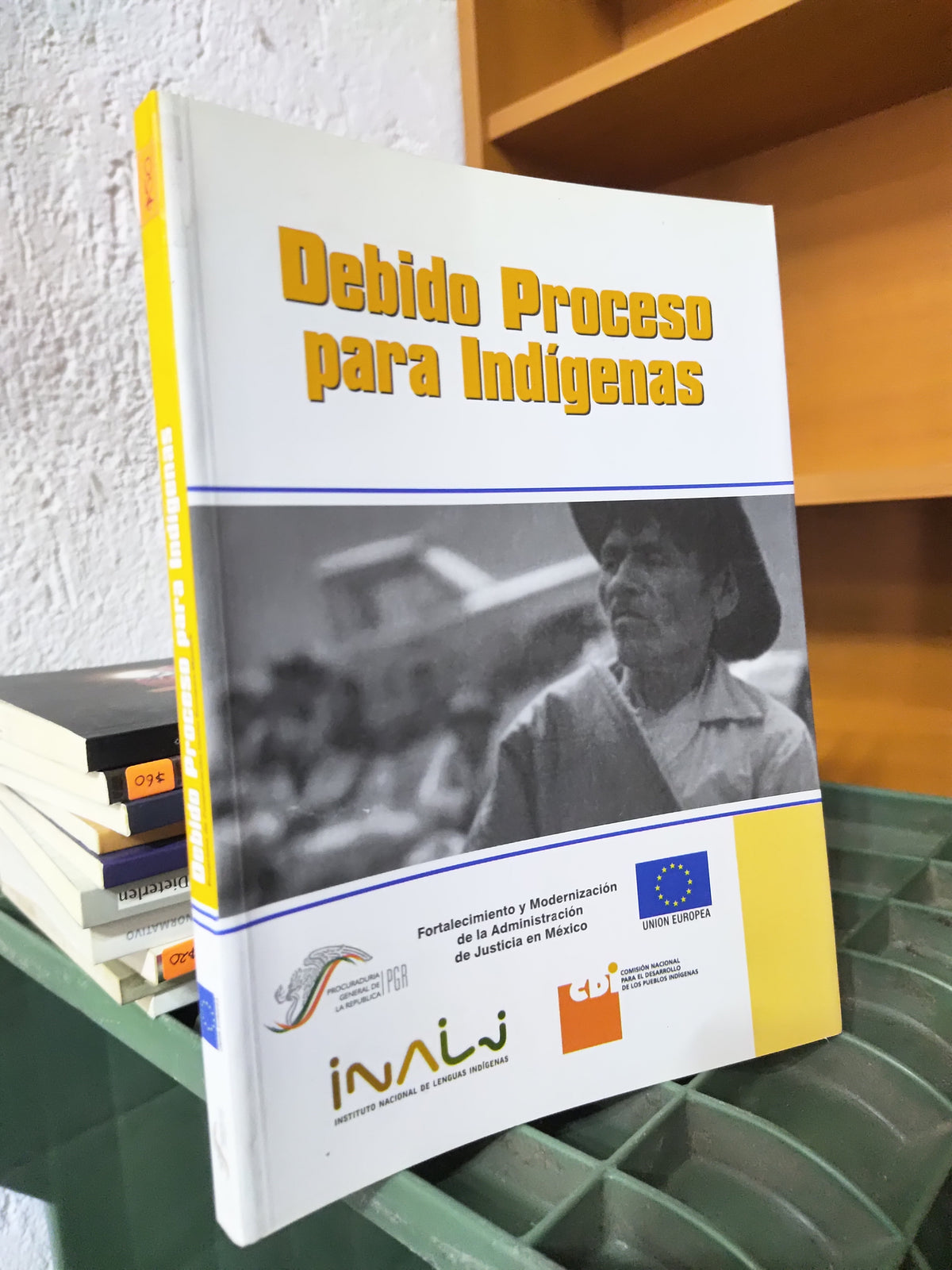 DEBIDO PROCESO PARA INDIGENAS POR EDITORIAL INALI USADO DERECHO JUAREZ 515