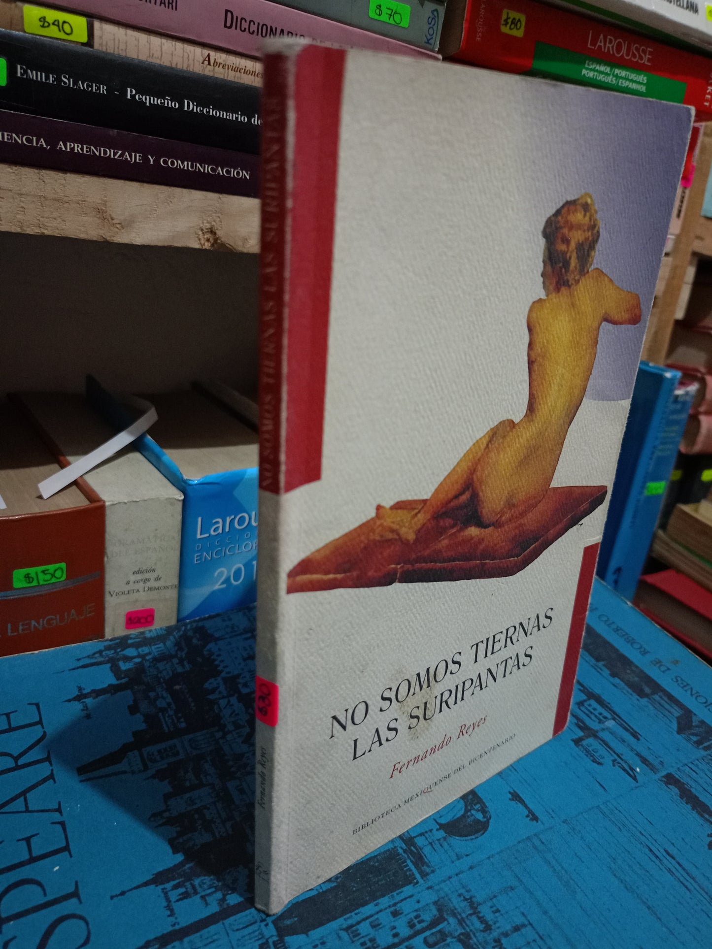 NO SOMOS TIERNAS LAS SURIPANTAS POR FERNANDO REYES USADO NOVELA LITERARIO 305