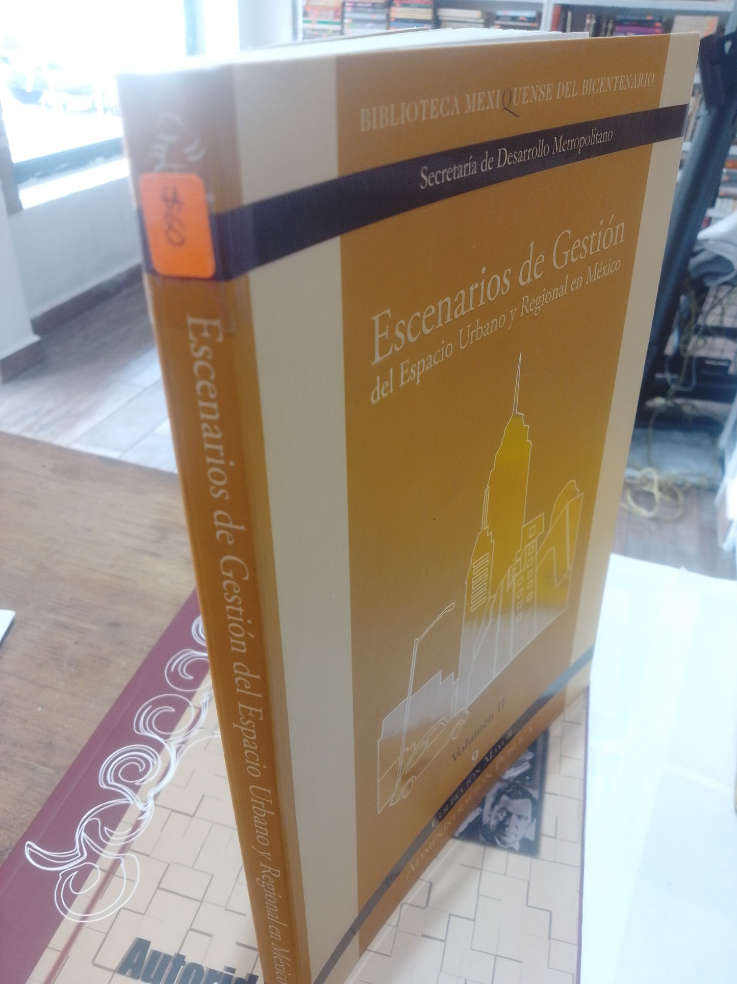 ESCENARIOS DE GESTION DEL ESPACIO URBANO Y REGIONAL EN MEXICO VOLUMEN II SECRETARIA DEL DESARROLLO METROPOLITANO USADO POLITICA JUAREZ 515