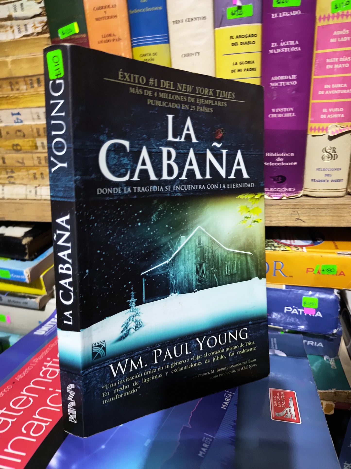LA CABAÑA POR PAUL YOUNG USADO NOVELAS JUAREZ 507