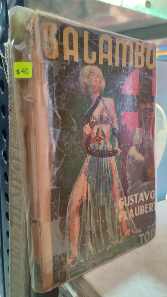 SALAMBO POR GUSTAVO FLAUBERT LIBRO USADO NOVELAS ALDAMA