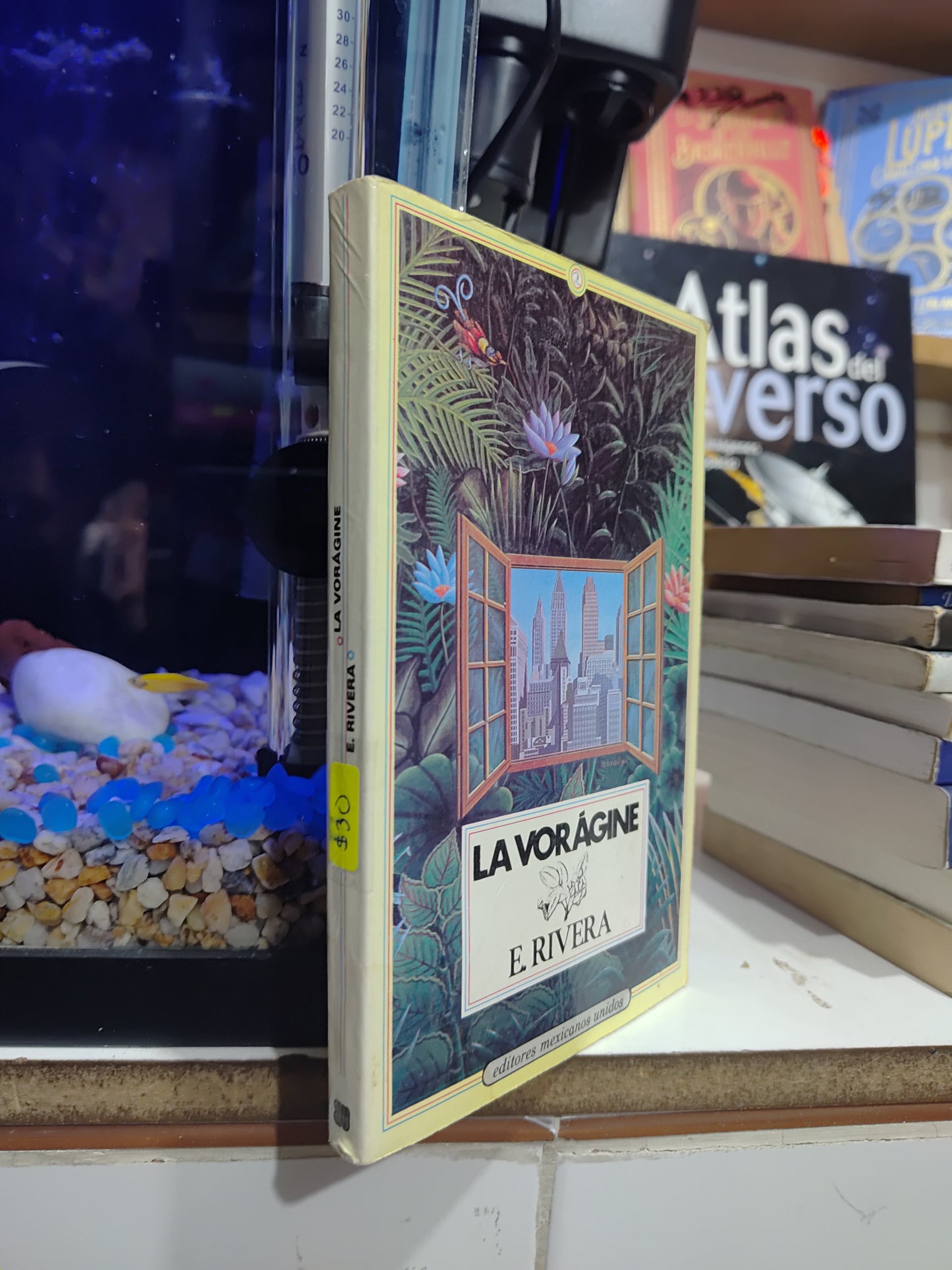 LA VORAGINE POR E. RIVERA USADO NOVELAS JUAREZ