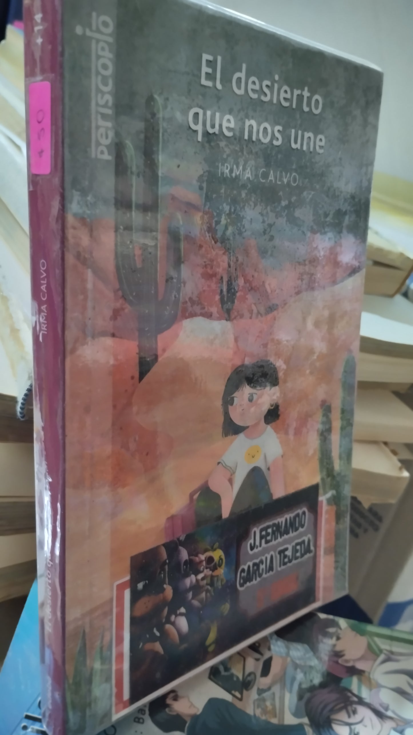 EL DESIERTO QUE NOS UNE POR IRMA CALVO LIBRO USADO INFANTIL ALDAMA