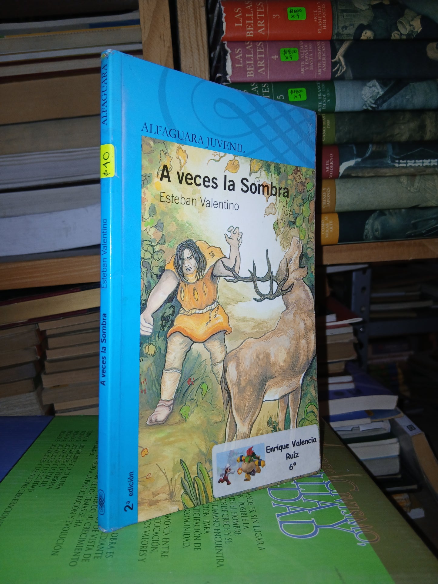 A VECES LA SOMBRA POR ESTEBAN VALENTINO USADO INFANTIL LITERARIO 207