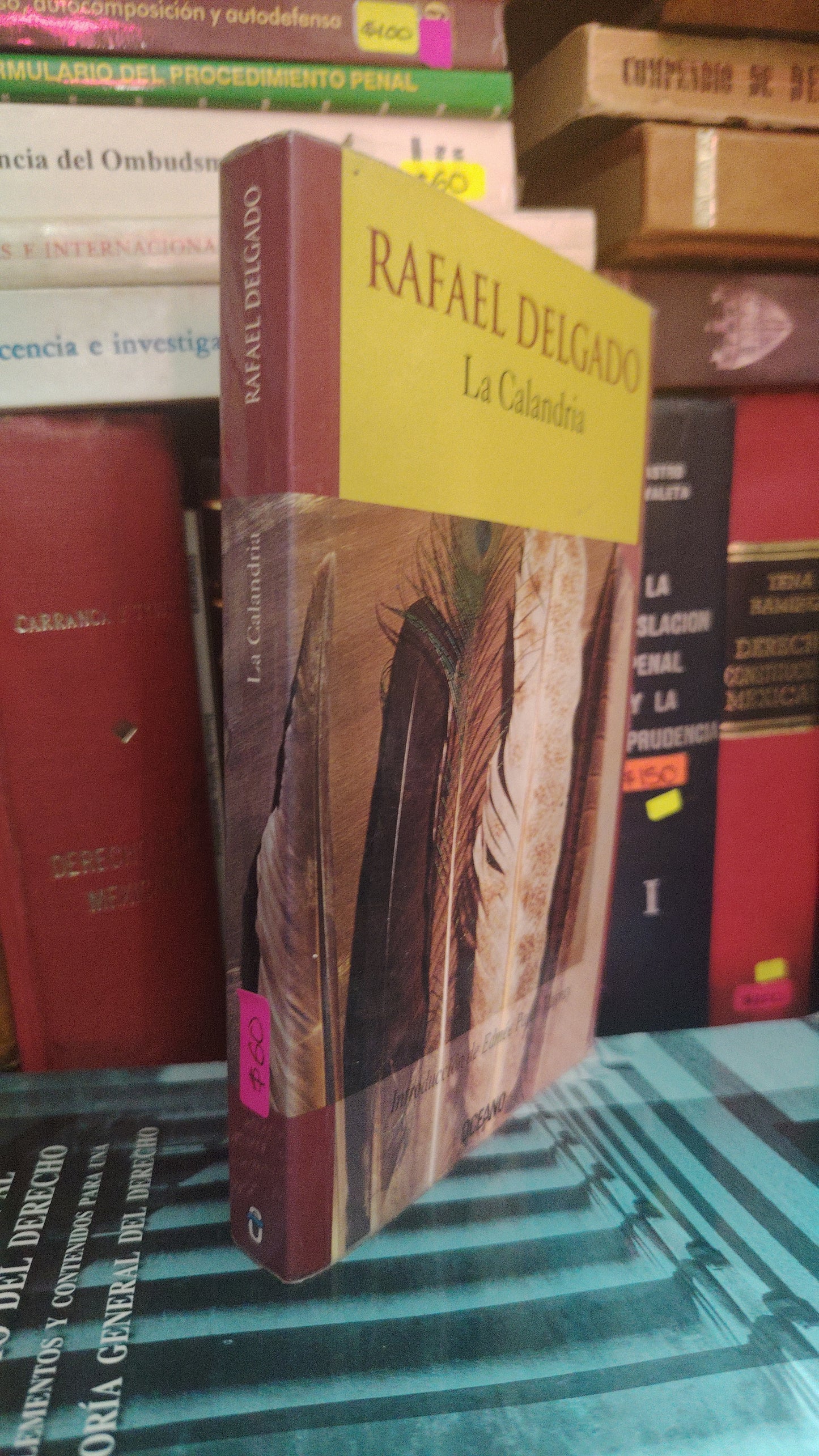 LA CALANDRIA POR RAFAEL DELGADO USADO NOVELA INSTITUTO LITERARIO