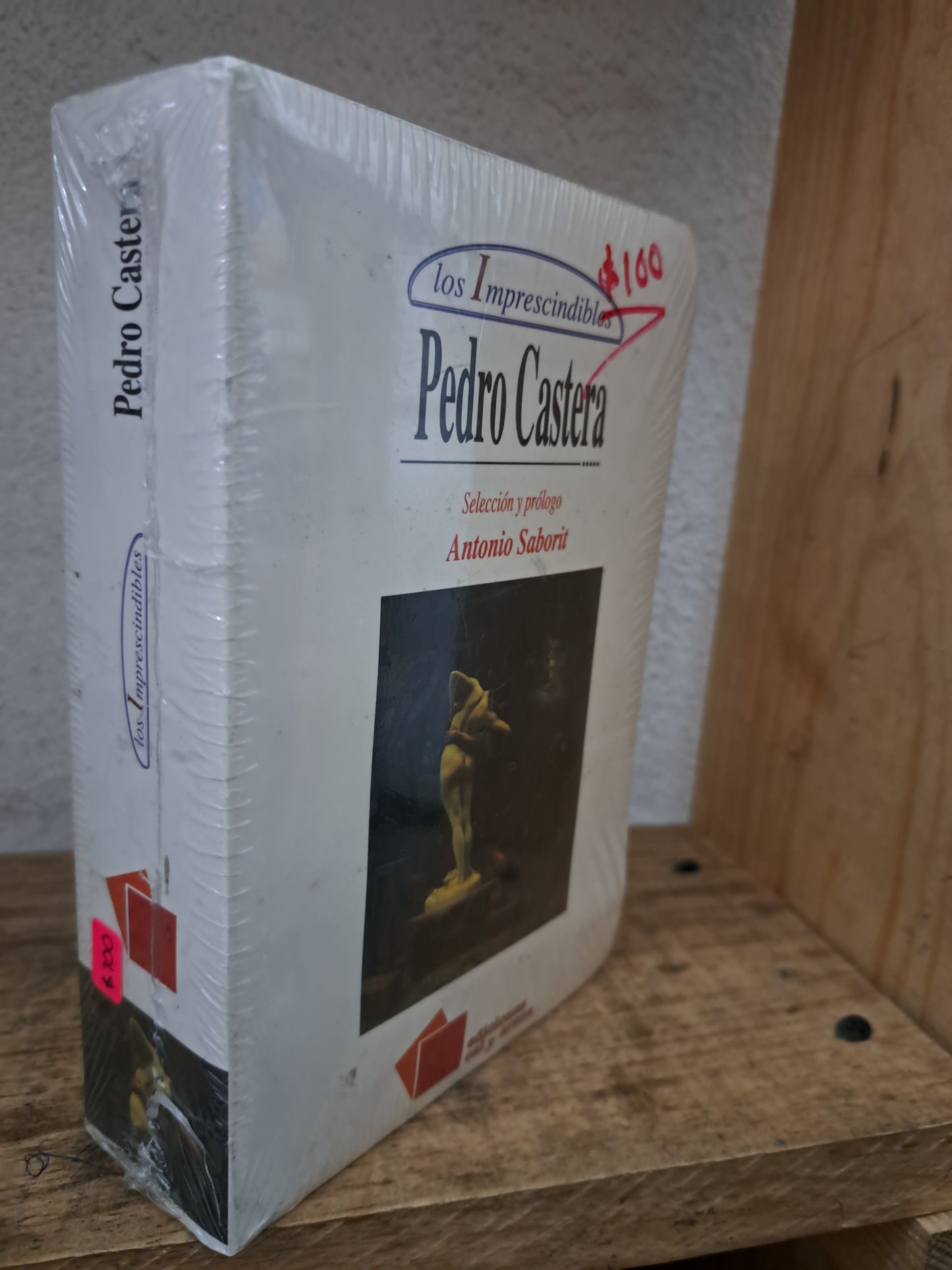 LOS IMPRESCINDIBLES PEDRO CASTERA NUEVO LIBROS NUEVOS LITERARIO 305