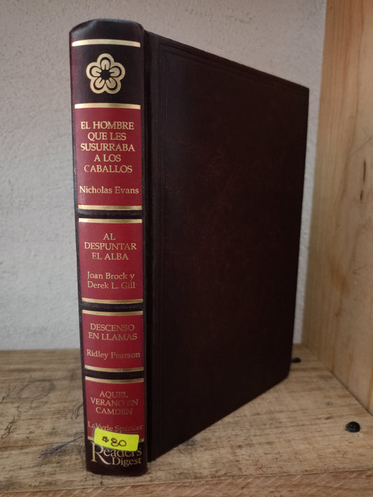 EL HOMBRE QUE LES SUSURRABA A LOS CABALLOS NICHOLAS EVANS AL DESPUNTAR EL ALBA JOAN BROCK Y DEREK L. GILL DESCENSO EN LLAMAS RIDLEY PEARSON AQUEL VERANO EN CAMDEN LAVYRLE SPENCER USADO NOVELA LITERARIO 305