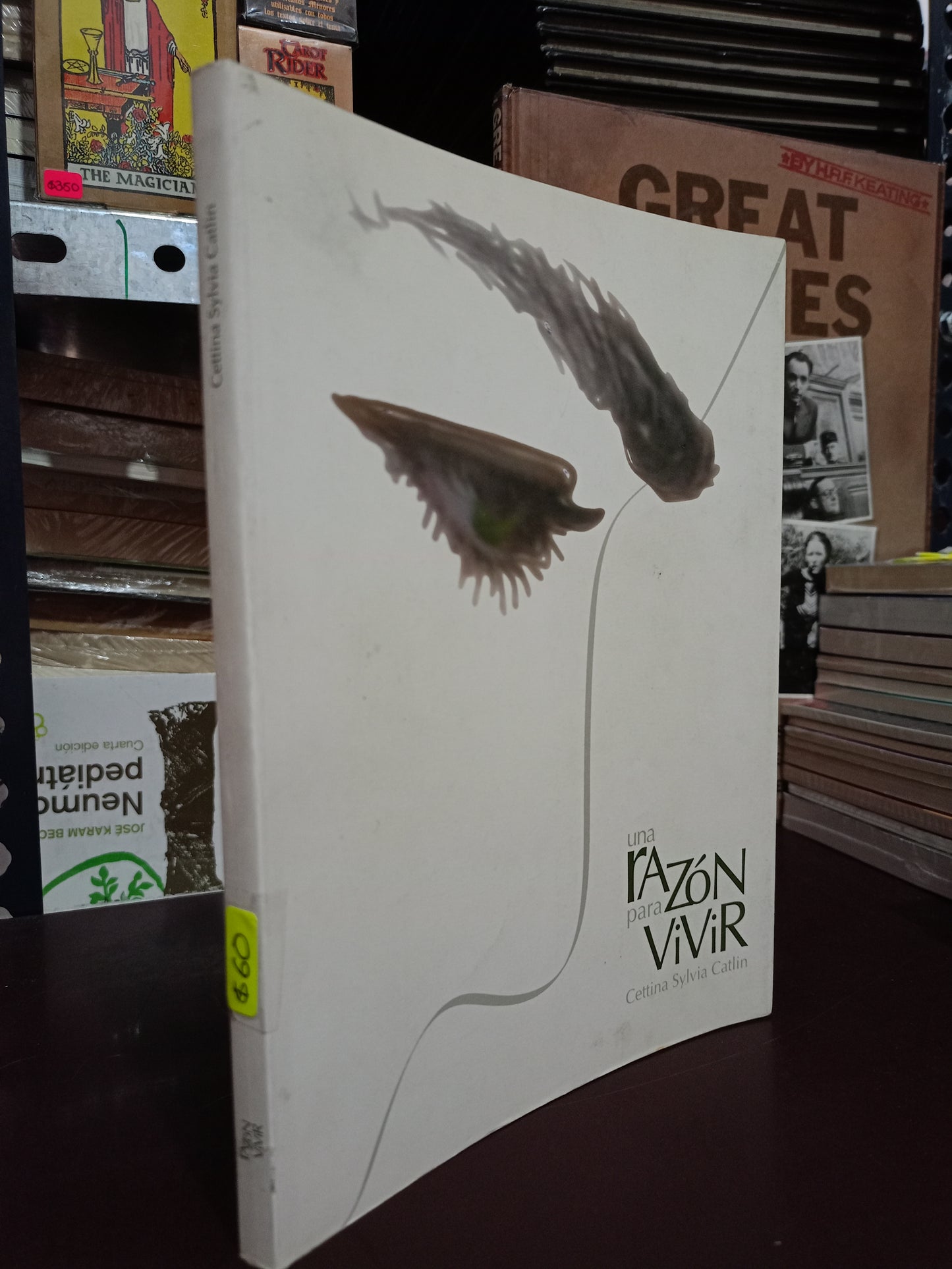 UNA RAZÓN PARA VIVIR POR CETTINA SYLVIA CATLIN USADO SUPERACIÓN PERSONAL LITERARIO 305