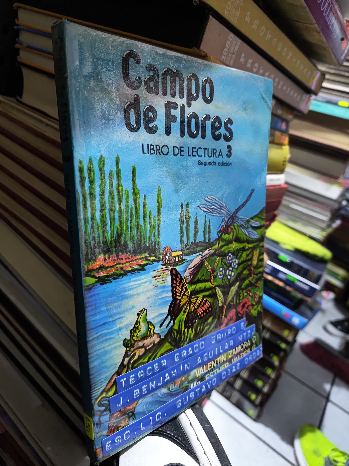 CAMPO DE FLORES POR VALENTIN ZAMORA O. USADO NOVELAS JUAREZ 507