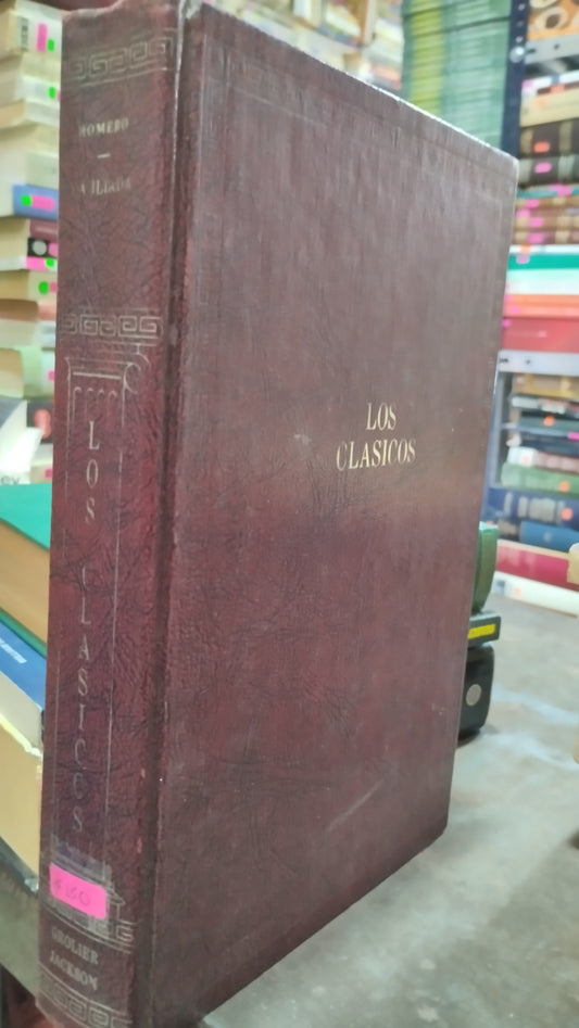 LA ILIADA POR HOMERO LIBRO USADO NOVELAS ALDAMA