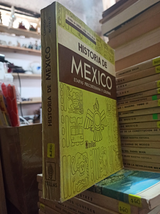 HISTORIA DE MEXICO POR ELVIRA DE LOREDO USADO HISTORIA ALDAMA