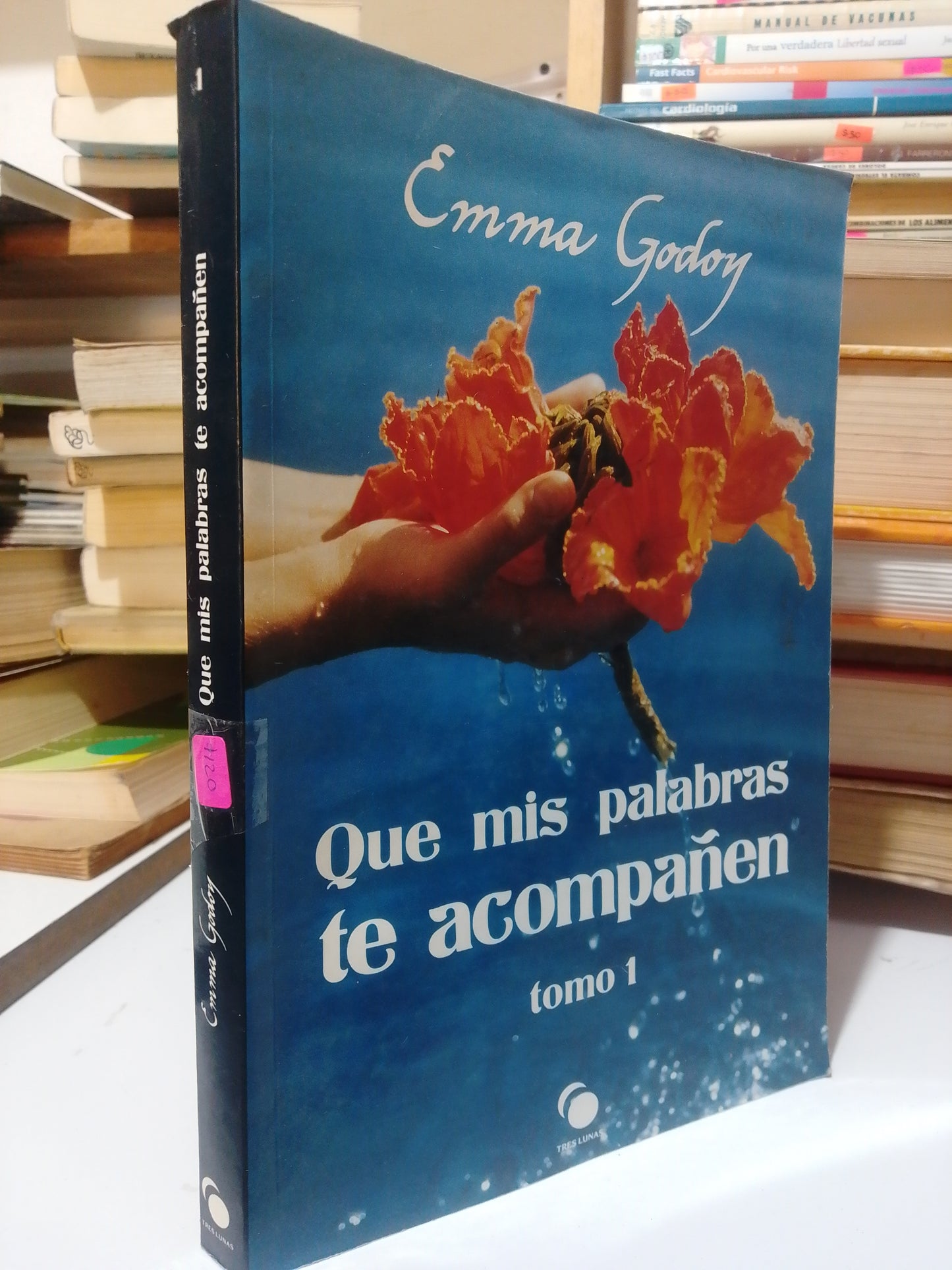 QUE MIS PALABRAS TE ACOMPAÑEN POR EMMA GODOY USADO SUP.PERSONAL JUAREZ