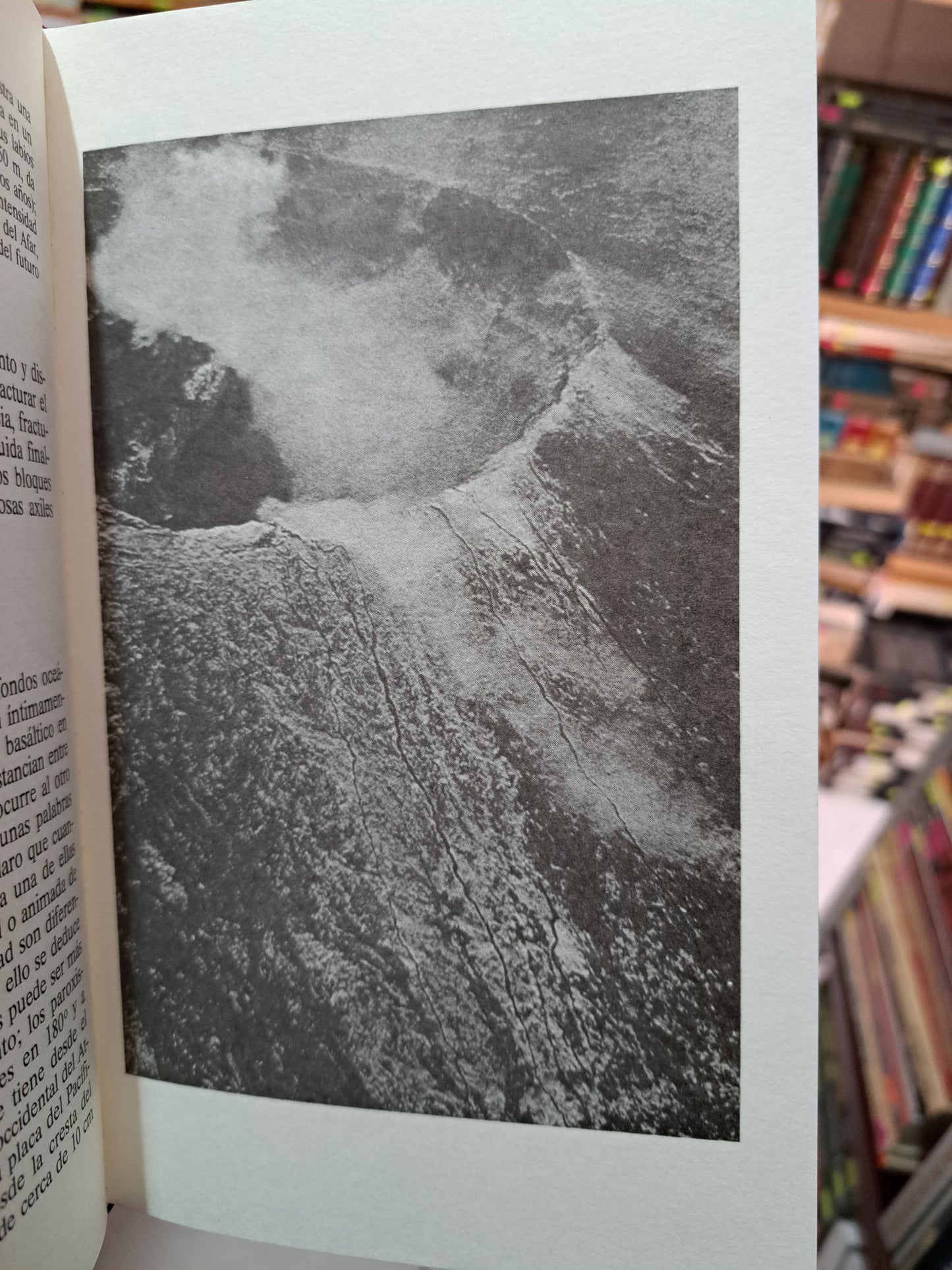 LOS VOLCANES Y LA DERIVA DE LOS CONTINENTES HAROUN TAZIEFF USADO NOVELA LITERARIO 305